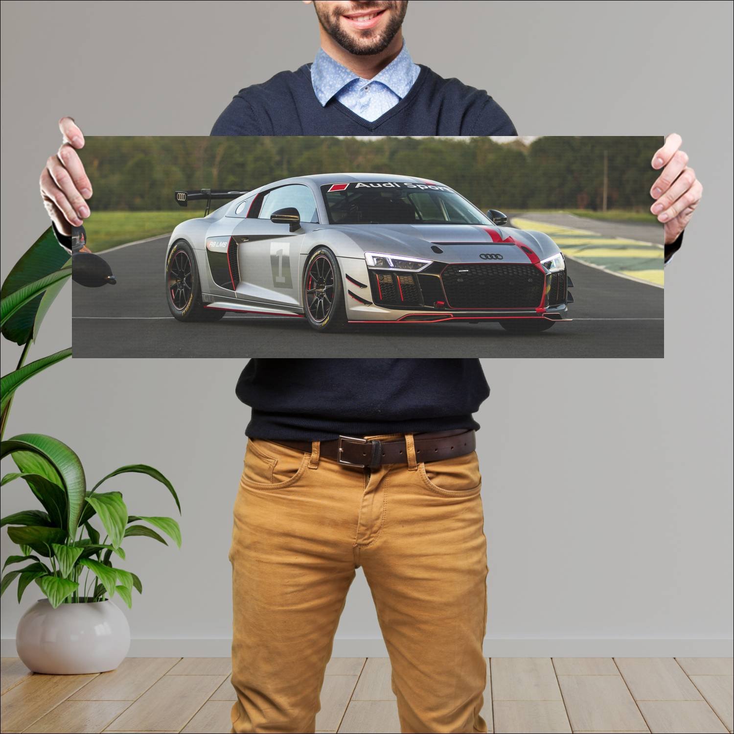 Cuadro grande 30x80cm 2017 audi r8 lms gt4 auto 299 Audi
