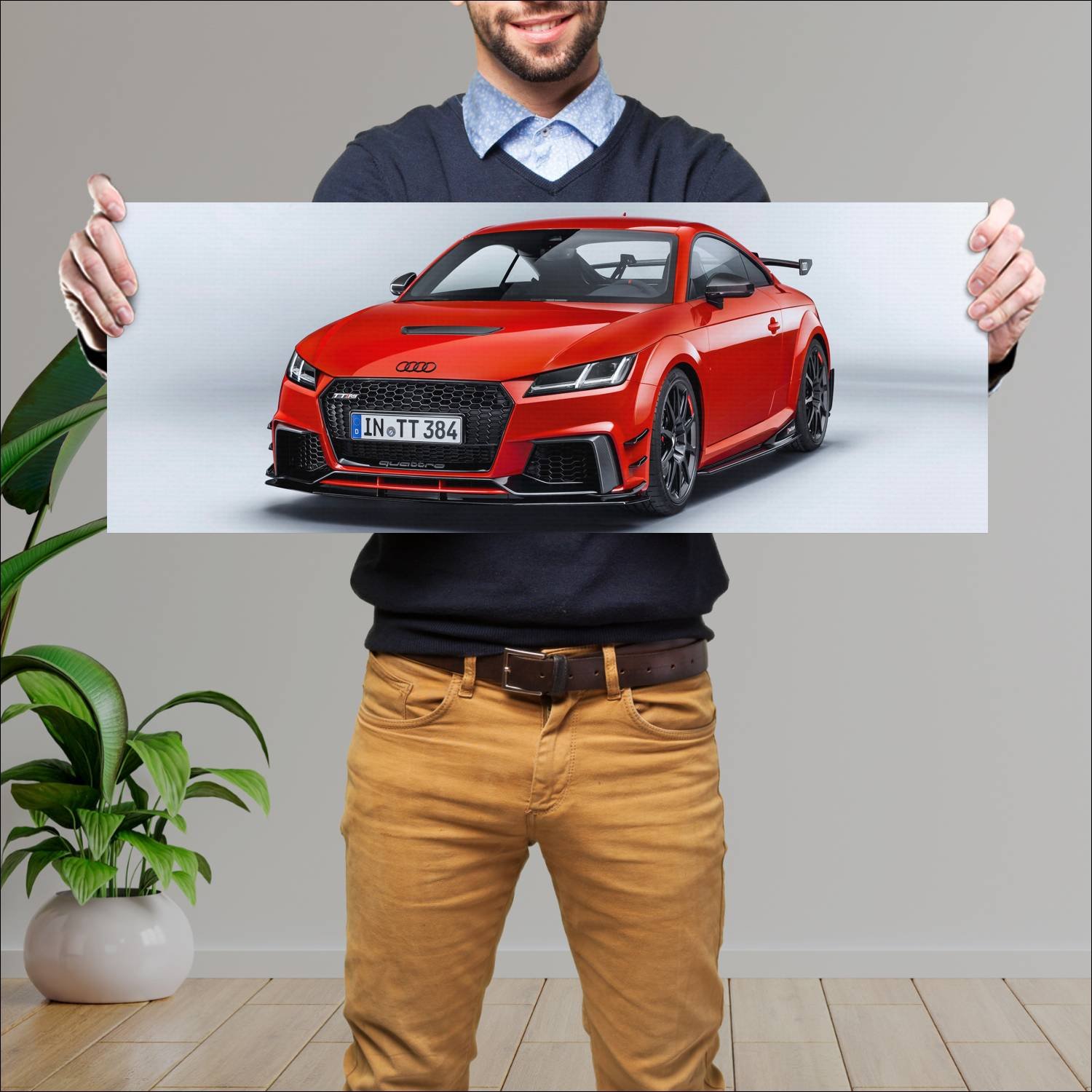 Cuadro grande 30x80cm 2017 audi tt rs coupe perfor 348 Audi