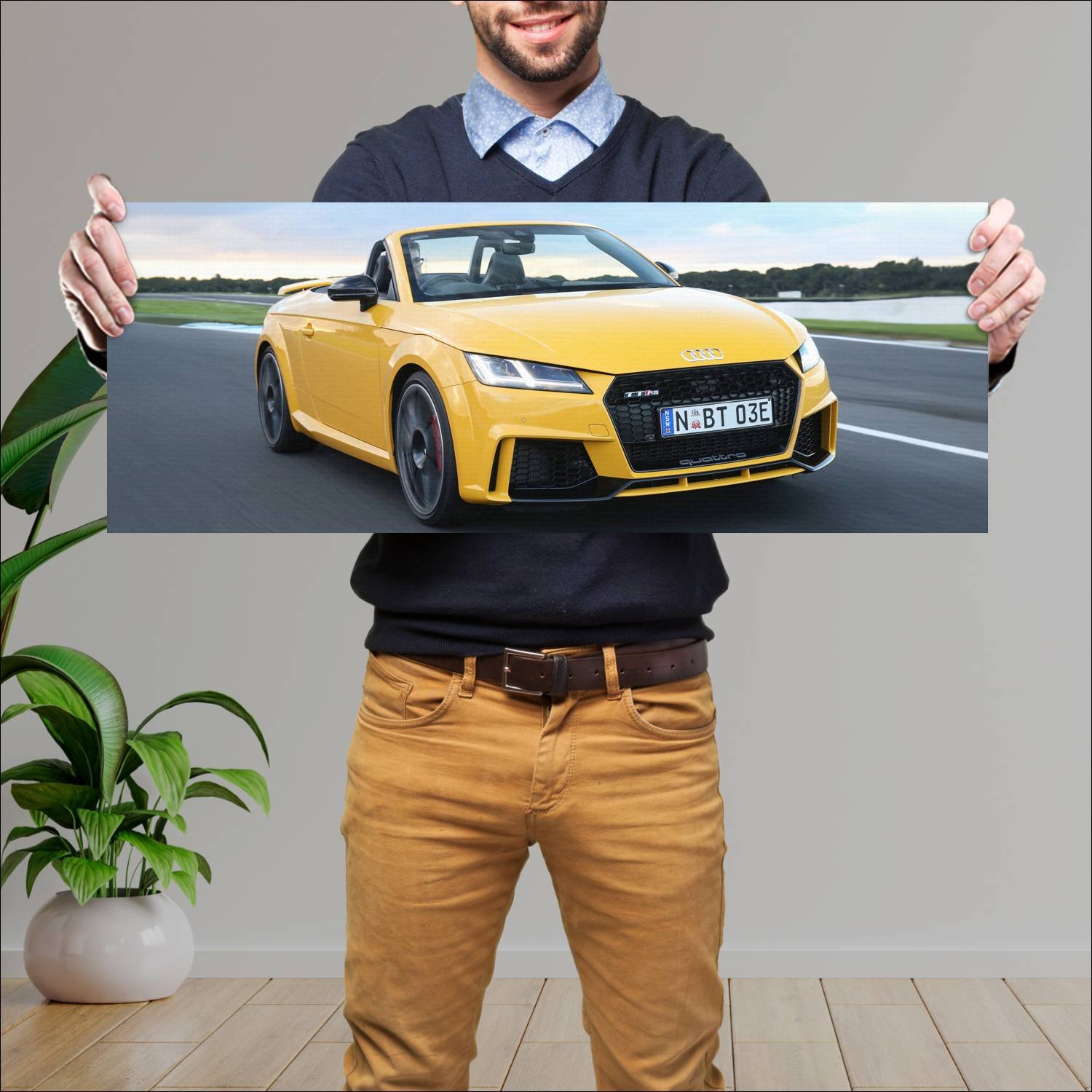 Cuadro grande 30x80cm 2017 audi tt rs roadster au 349 Audi