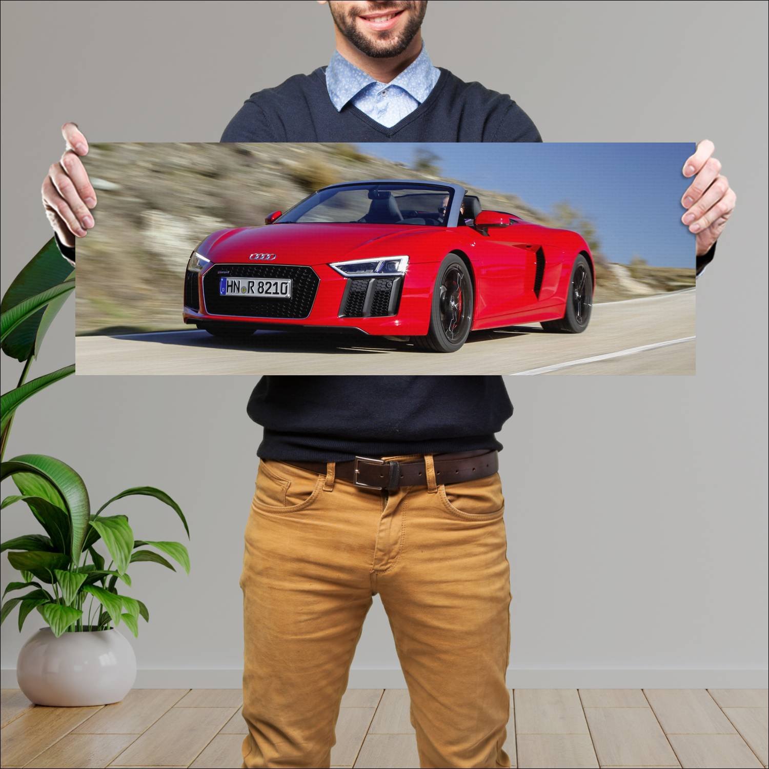 Cuadro grande 30x80cm 2018 audi r8 spyder rws Audi