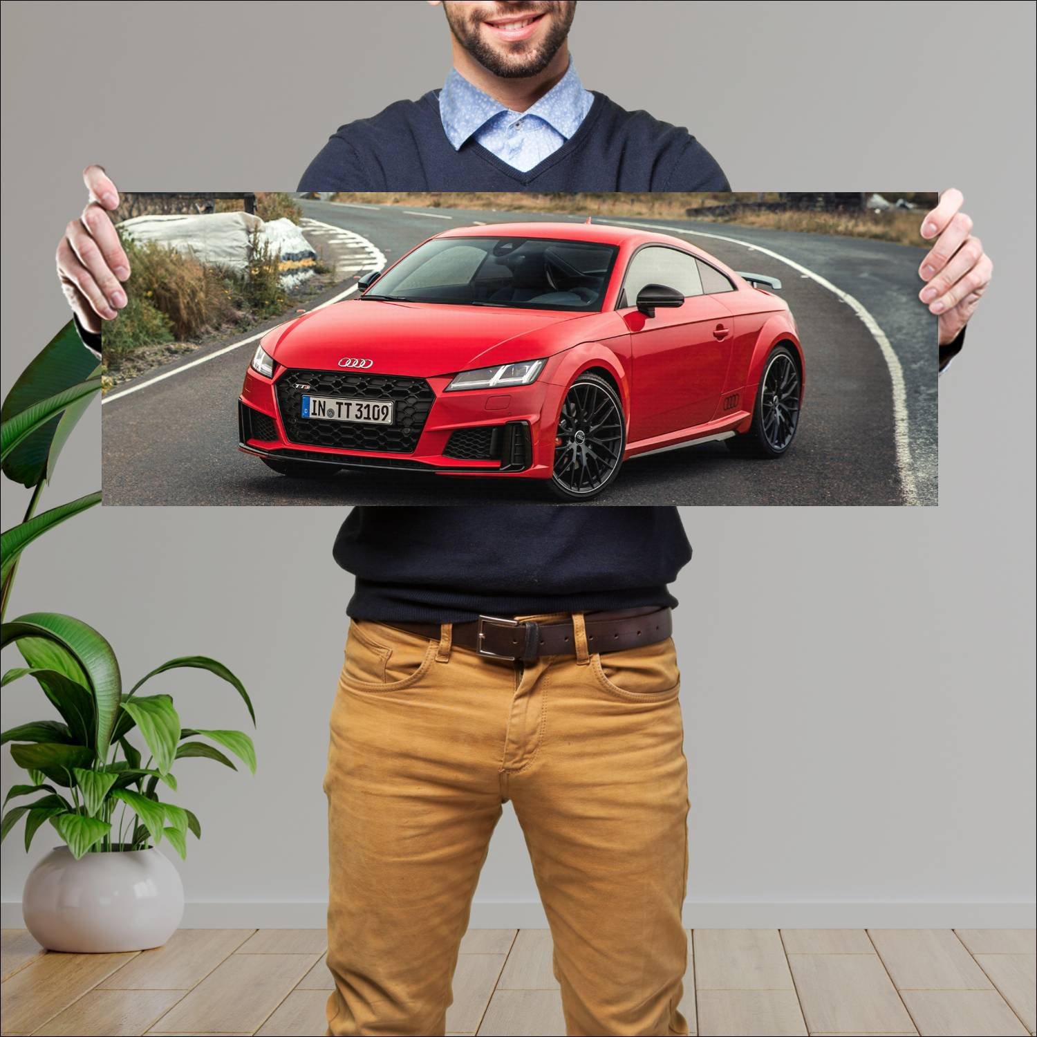 Cuadro grande 30x80cm 2018 audi tts coupe competit 443 Audi