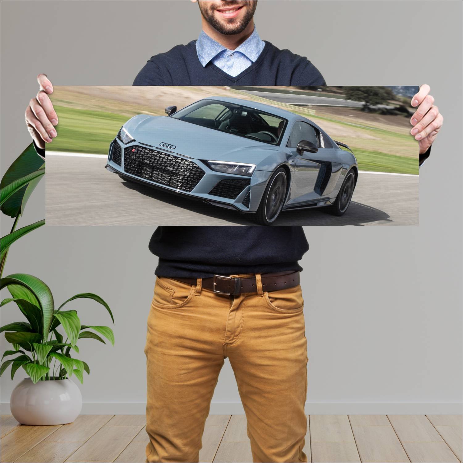 Cuadro grande 30x80cm 2019 audi r8 coupe performan 529 Audi