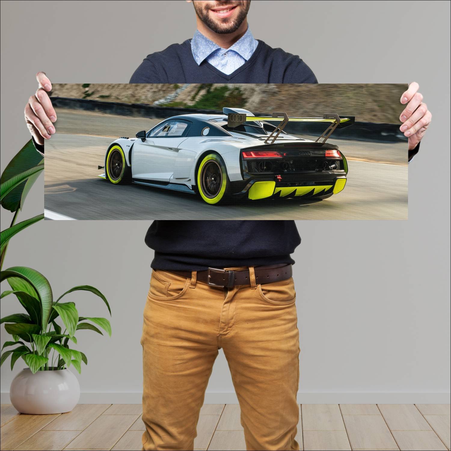 Cuadro grande 30x80cm 2019 audi r8 lms gt2 auto 537 Audi