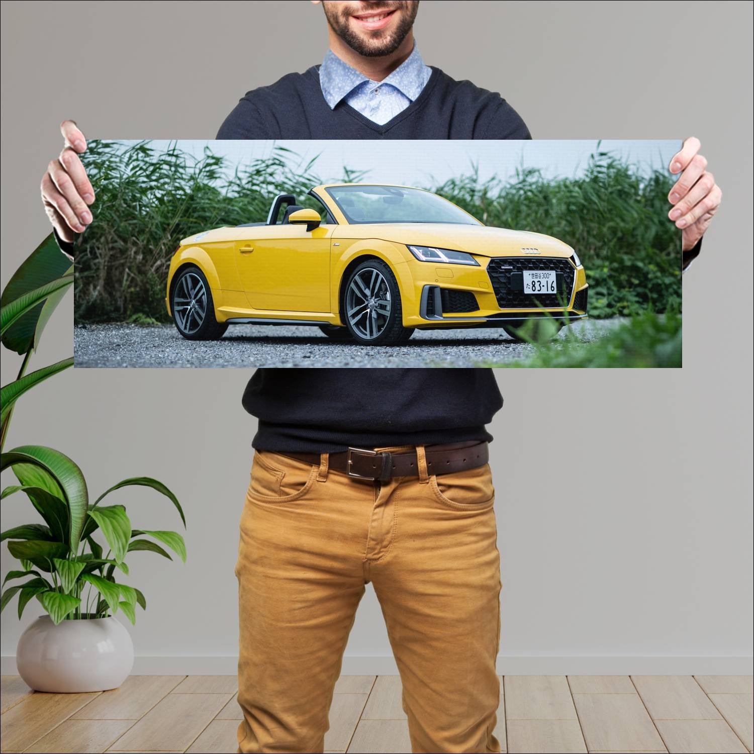 Cuadro grande 30x80cm 2019 audi tt roadster s line 582 Audi