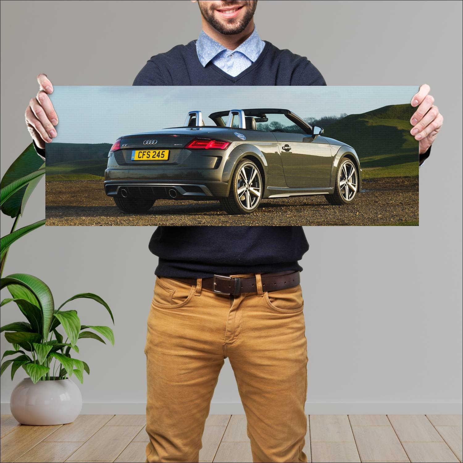 Cuadro grande 30x80cm 2019 audi tt roadster s line 583 Audi
