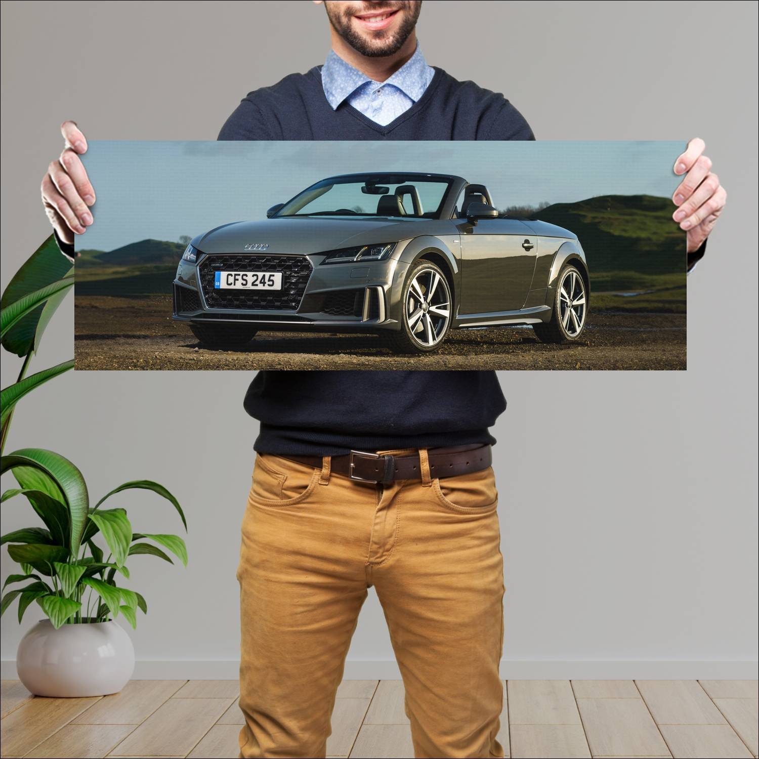 Cuadro grande 30x80cm 2019 audi tt roadster s line 584 Audi