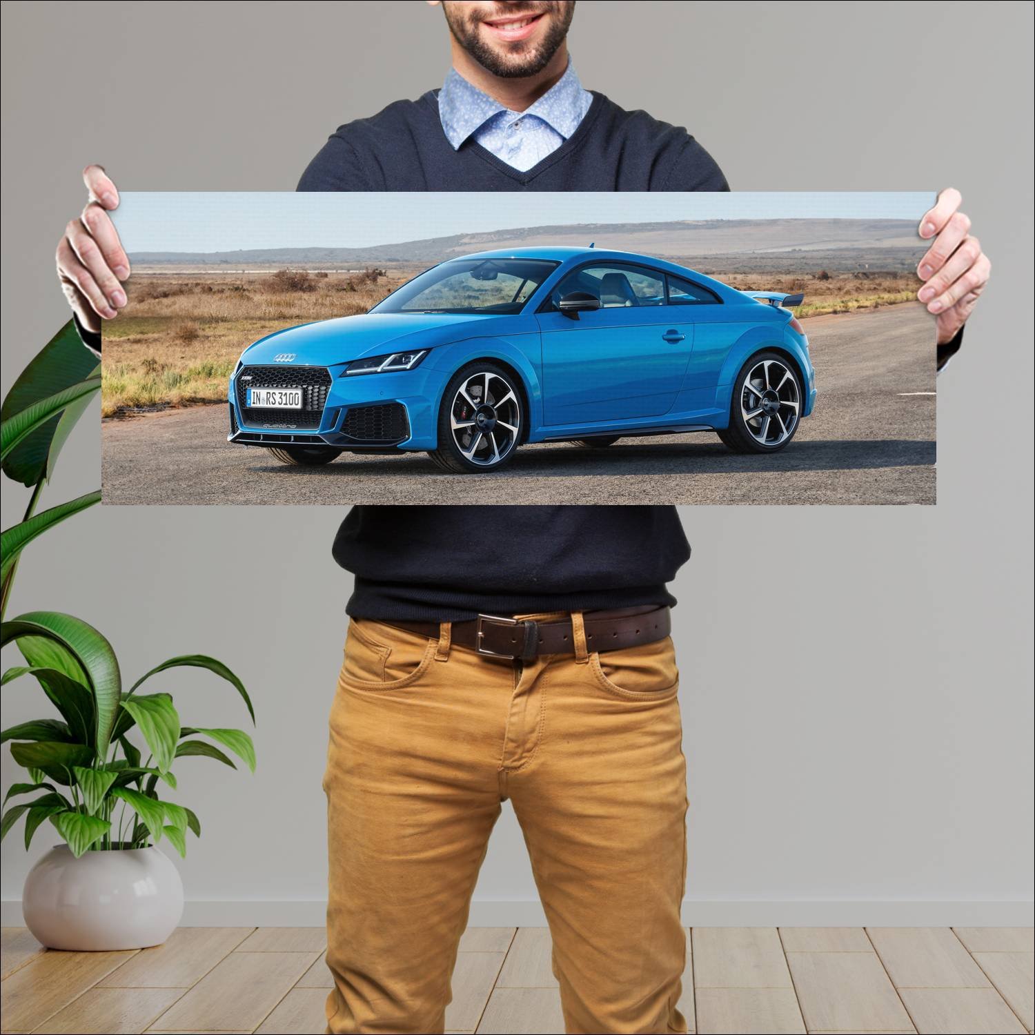 Cuadro grande 30x80cm 2019 audi tt rs coupe auto 585 Audi