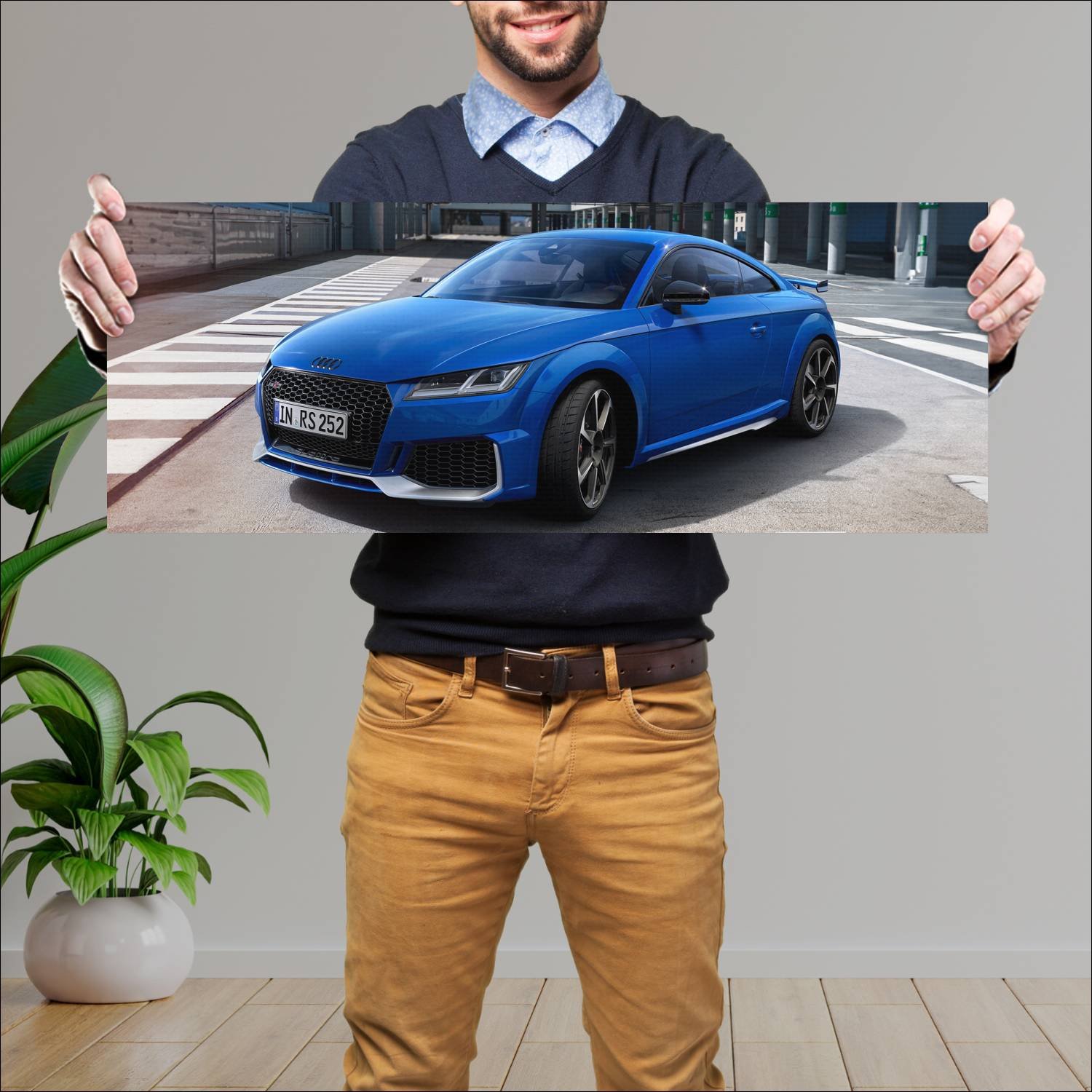 Cuadro grande 30x80cm 2019 audi tt rs coupe annive 586 Audi
