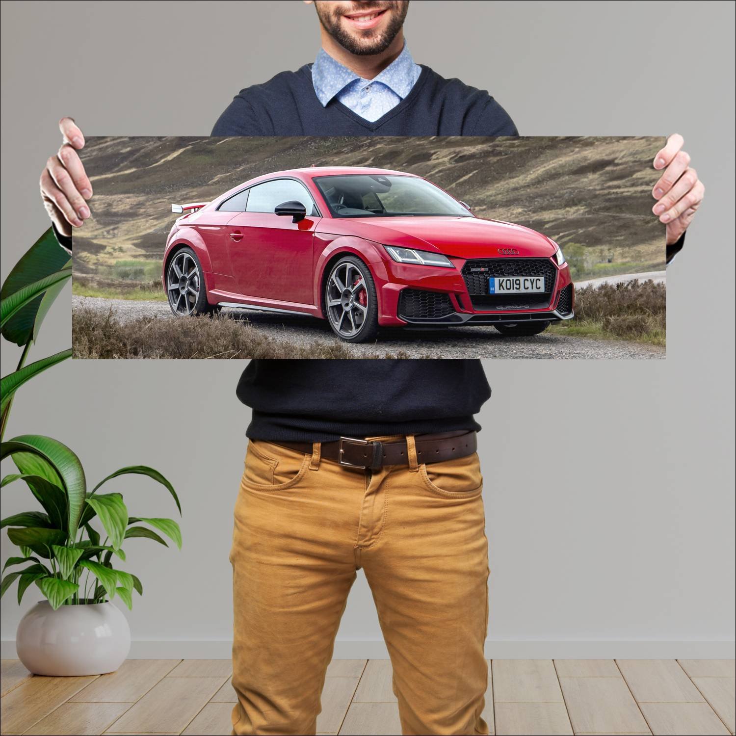 Cuadro grande 30x80cm 2019 audi tt rs coupe audi s 587 Audi