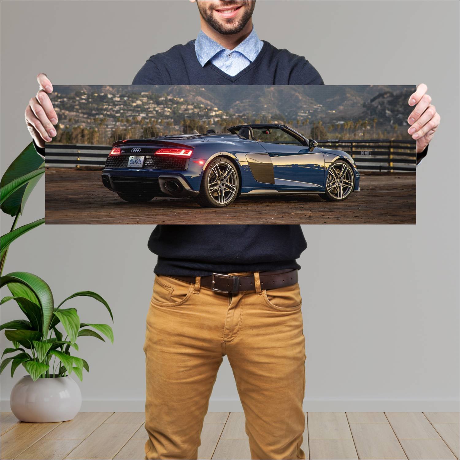 Cuadro grande 30x80cm 2020 audi r8 spyder performa 688 Audi