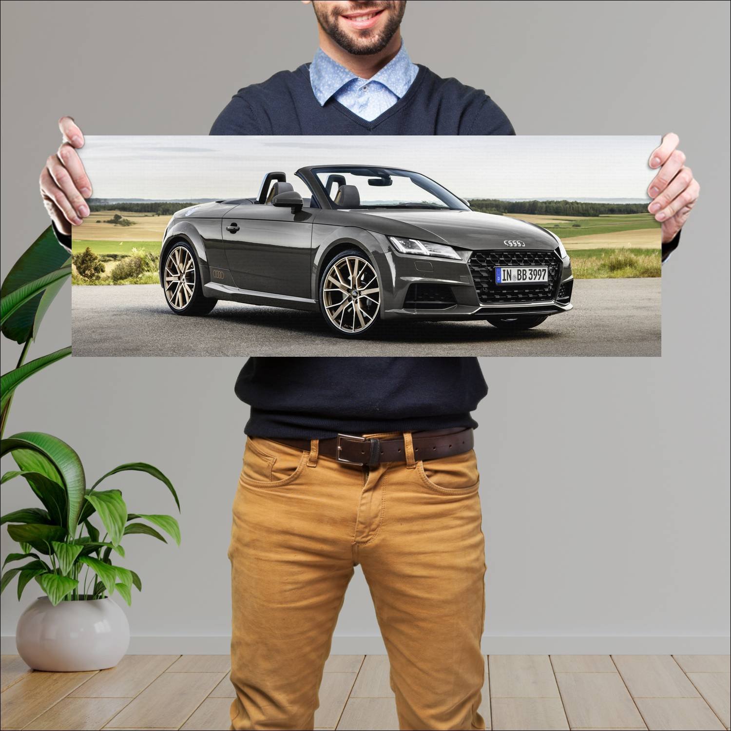 Cuadro grande 30x80cm 2020 audi tt roadster bronze 762 Audi