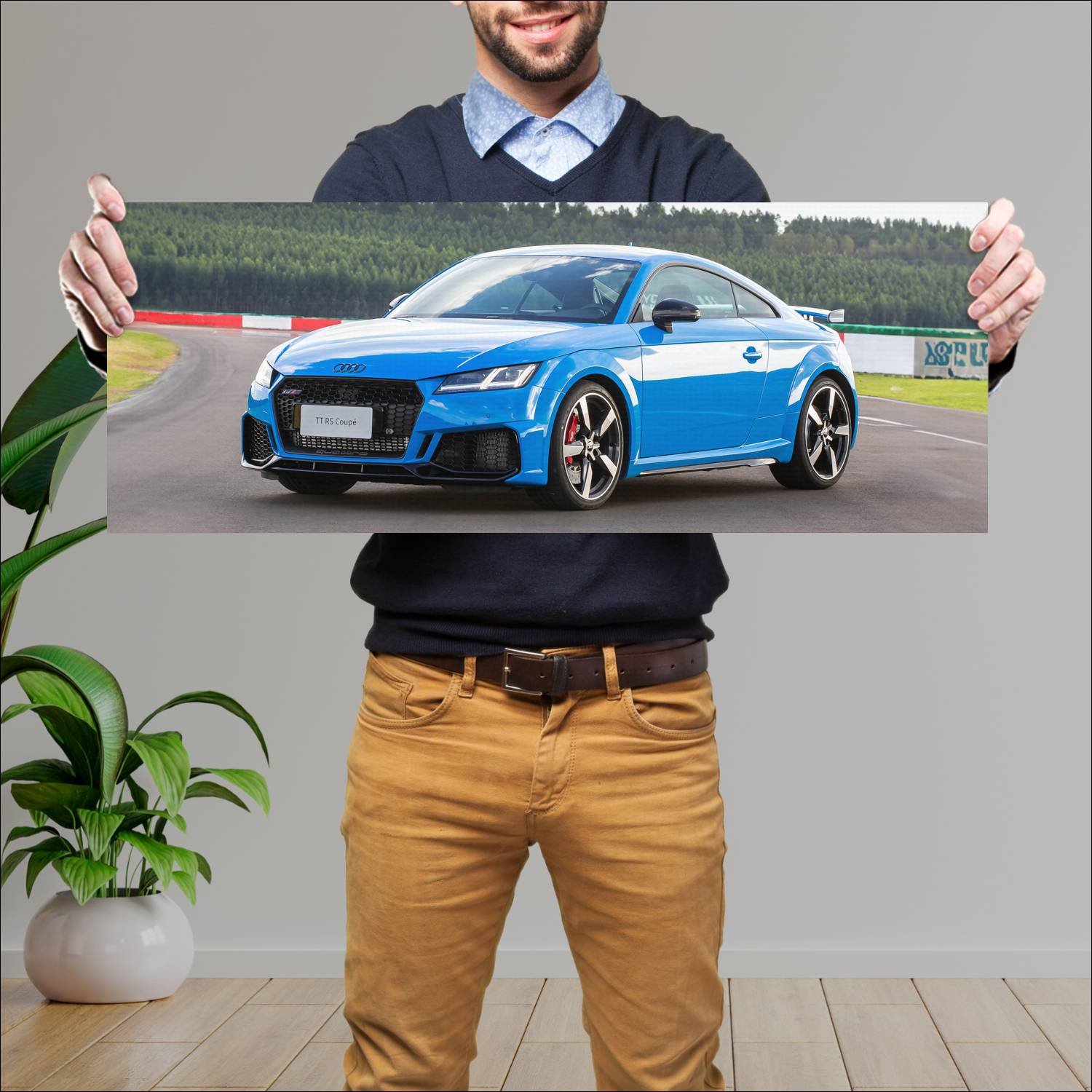 Cuadro grande 30x80cm 2020 audi tt rs coupe br 102 766 Audi