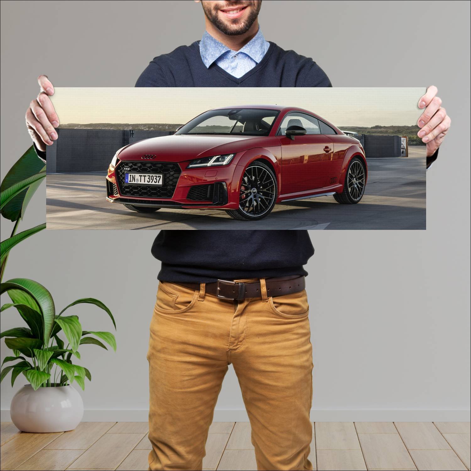 Cuadro grande 30x80cm 2020 audi tts coupe competit 767 Audi
