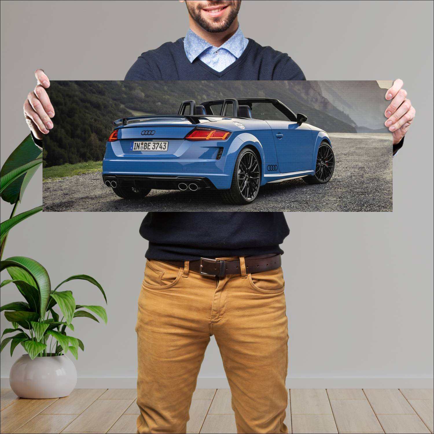 Cuadro grande 30x80cm 2020 audi tts roadster compe 768 Audi