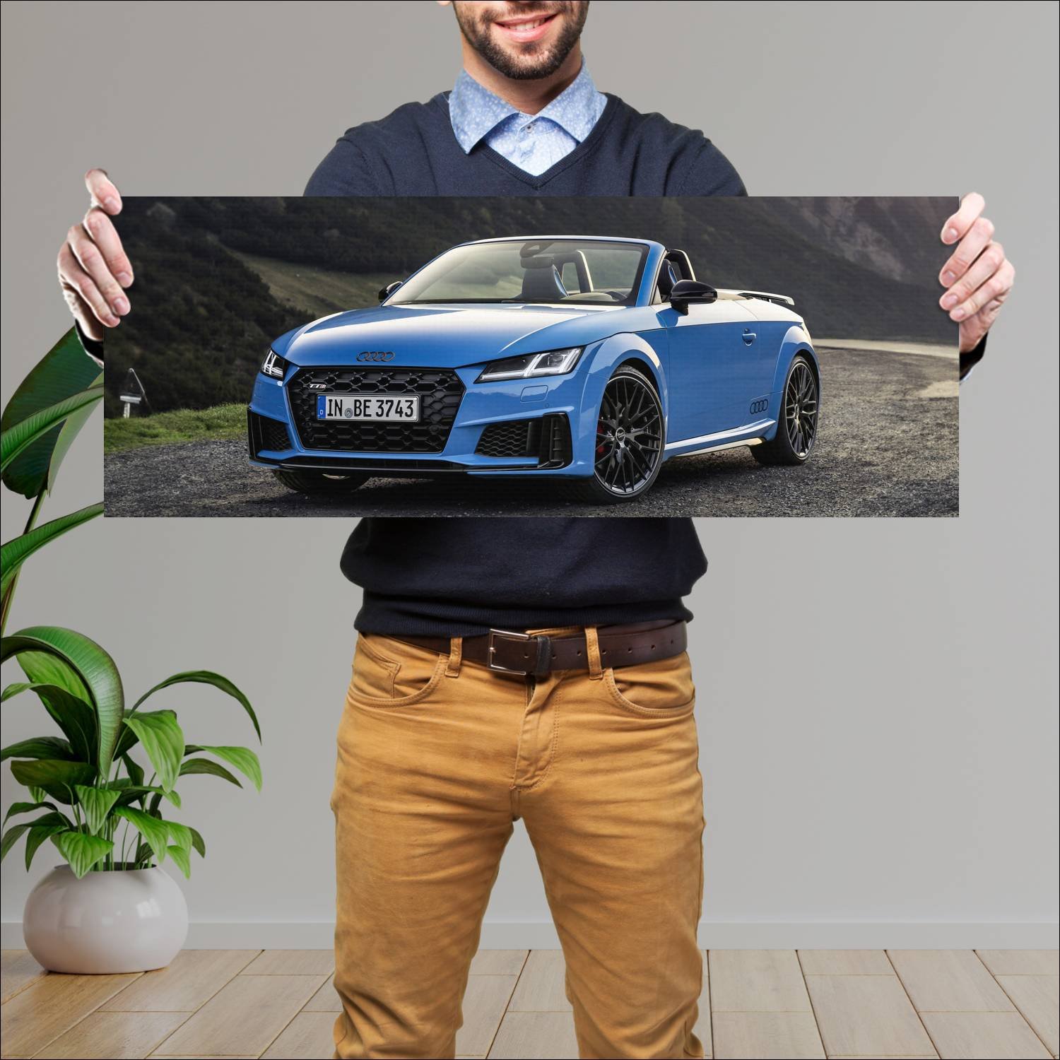 Cuadro grande 30x80cm 2020 audi tts roadster compe 769 Audi