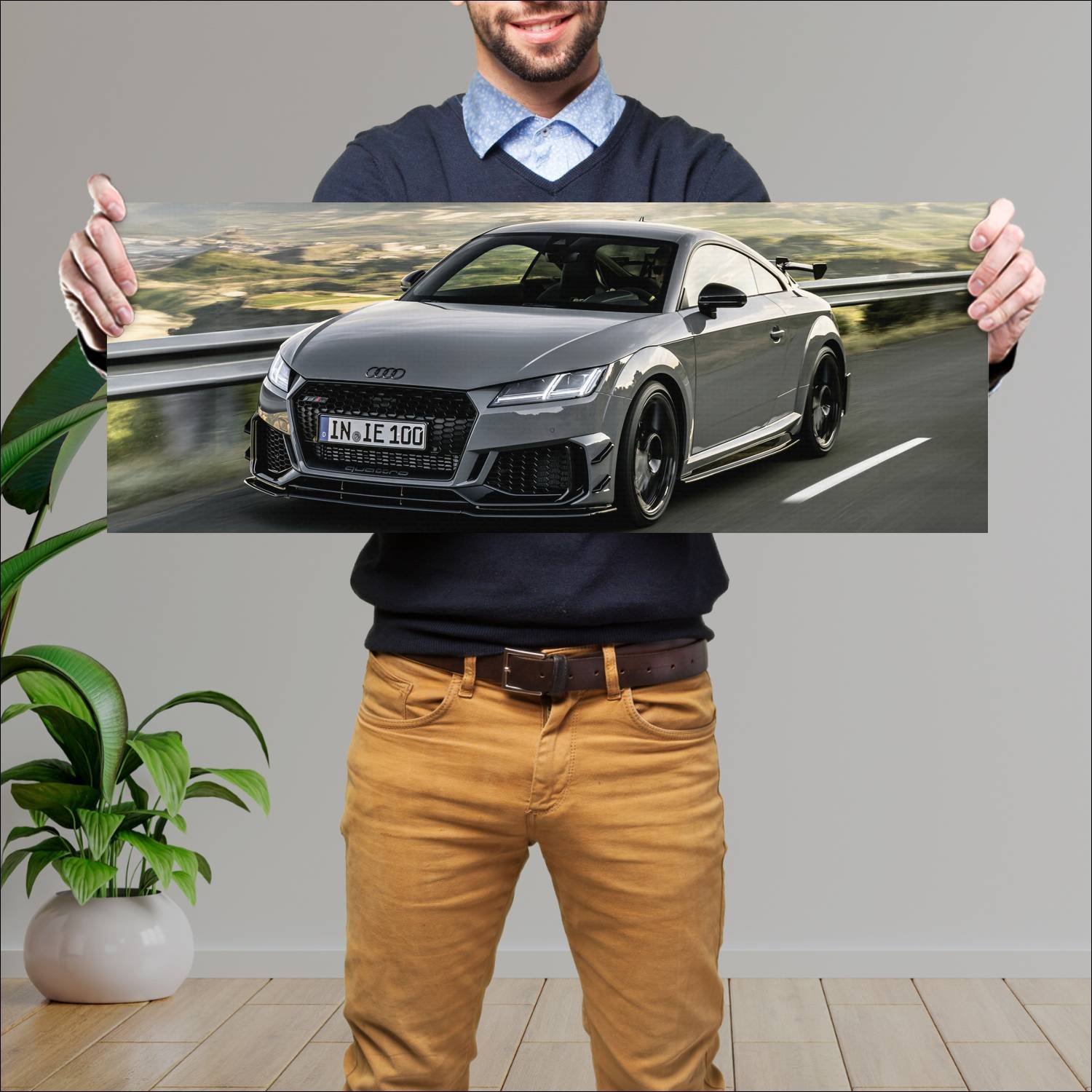 Cuadro grande 30x80cm 2022 audi tt rs coupe iconic 916 Audi