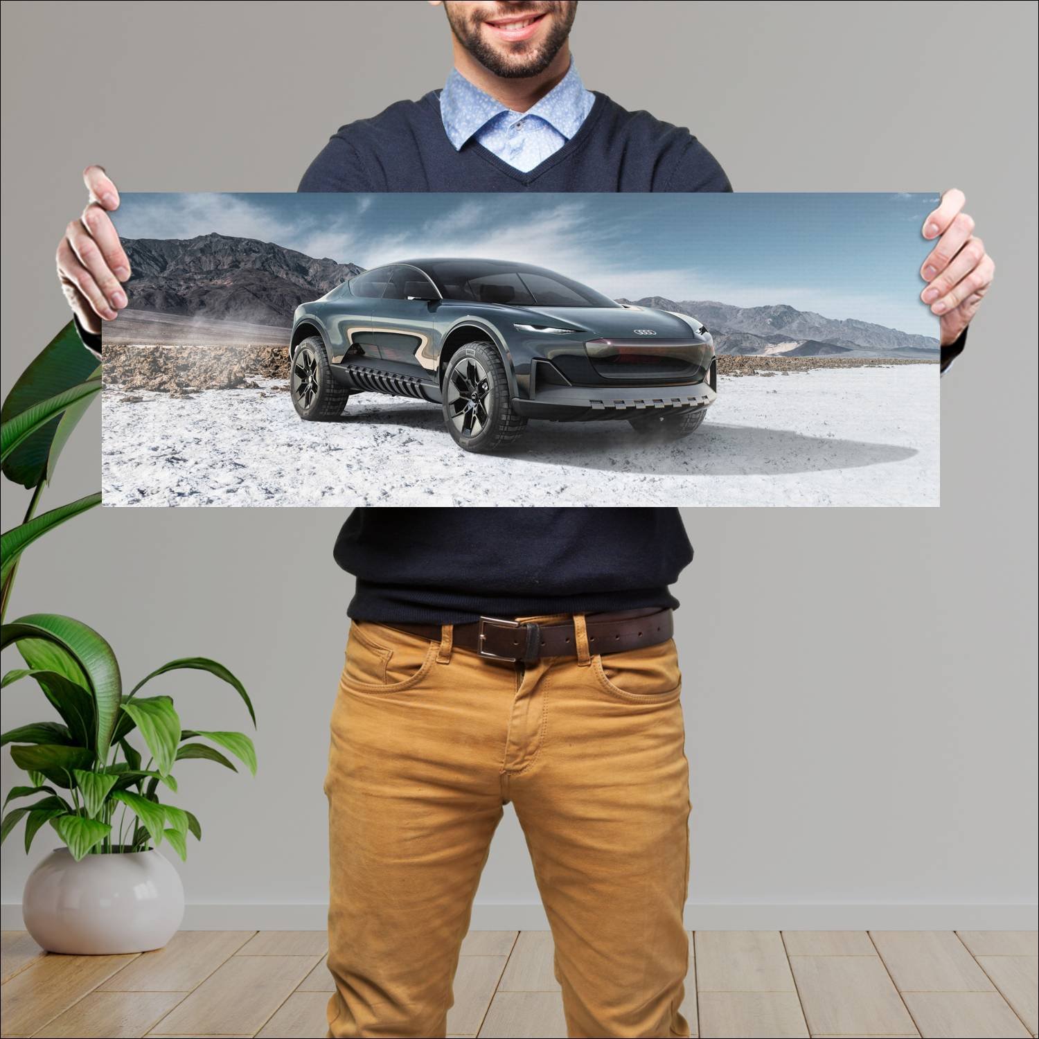 Cuadro grande 30x80cm 2023 Audi Activesphere Concept2 Audi