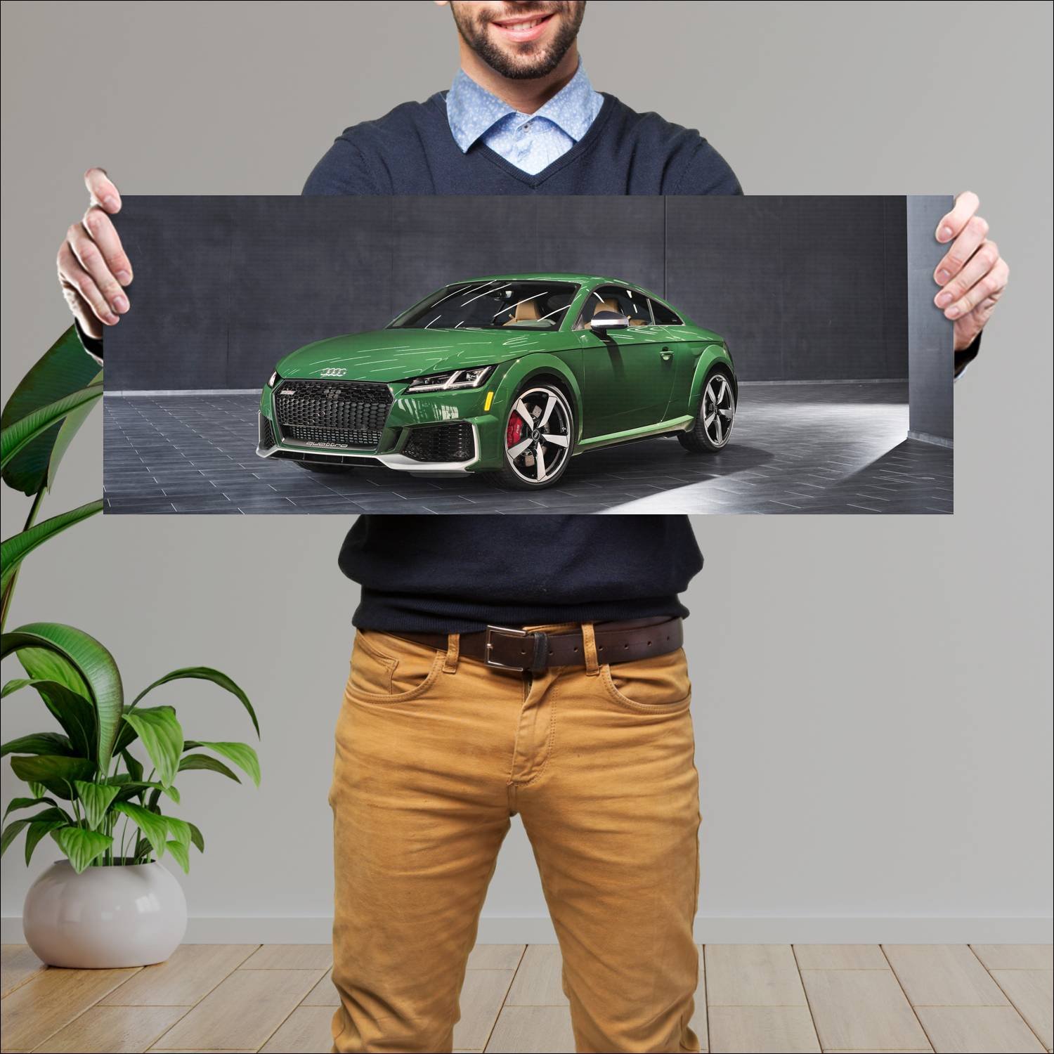 Cuadro grande 30x80cm 2022 Audi TT RS Heritage Ed 3 Audi
