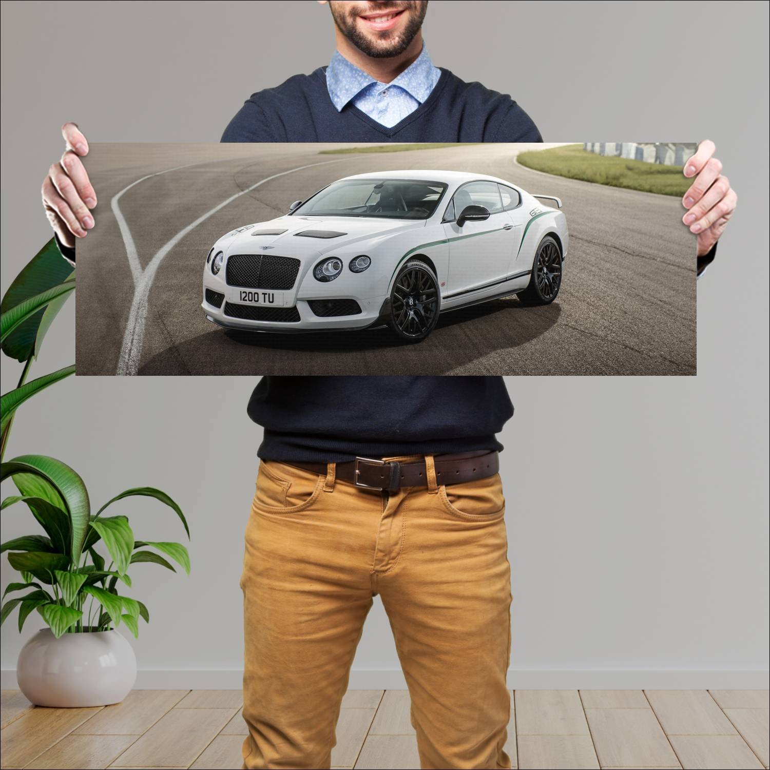 Cuadro grande 30x80cm 2014 bentley continental gt3 201 Bentley
