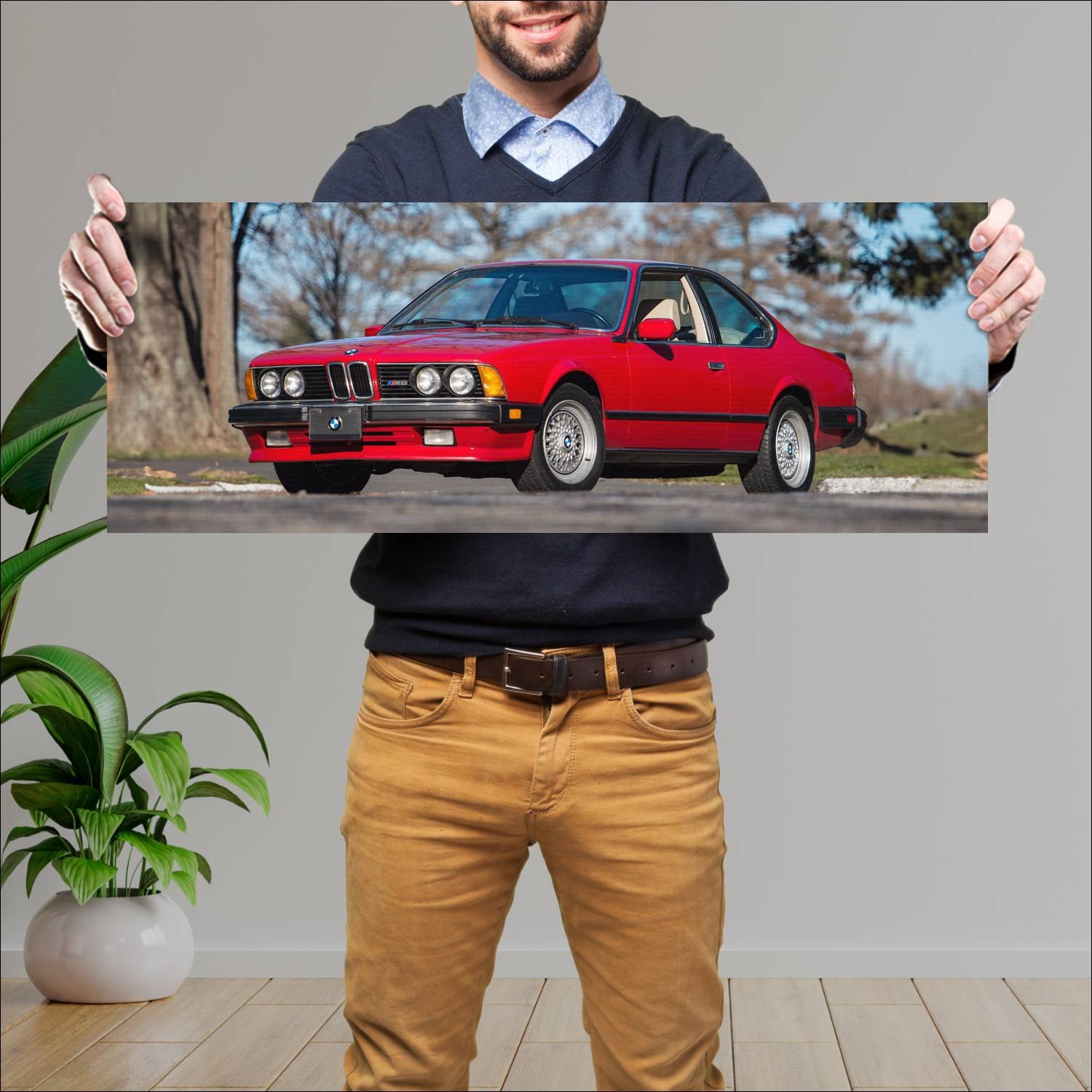Cuadro grande 30x80cm 1987 bmw m6 coupe us auto 113 Bmw
