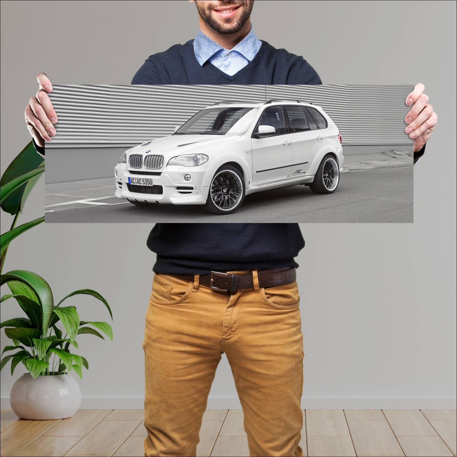 Cuadro grande 30x80cm 2008 ac schnitzer acs5 falco 570 Bmw
