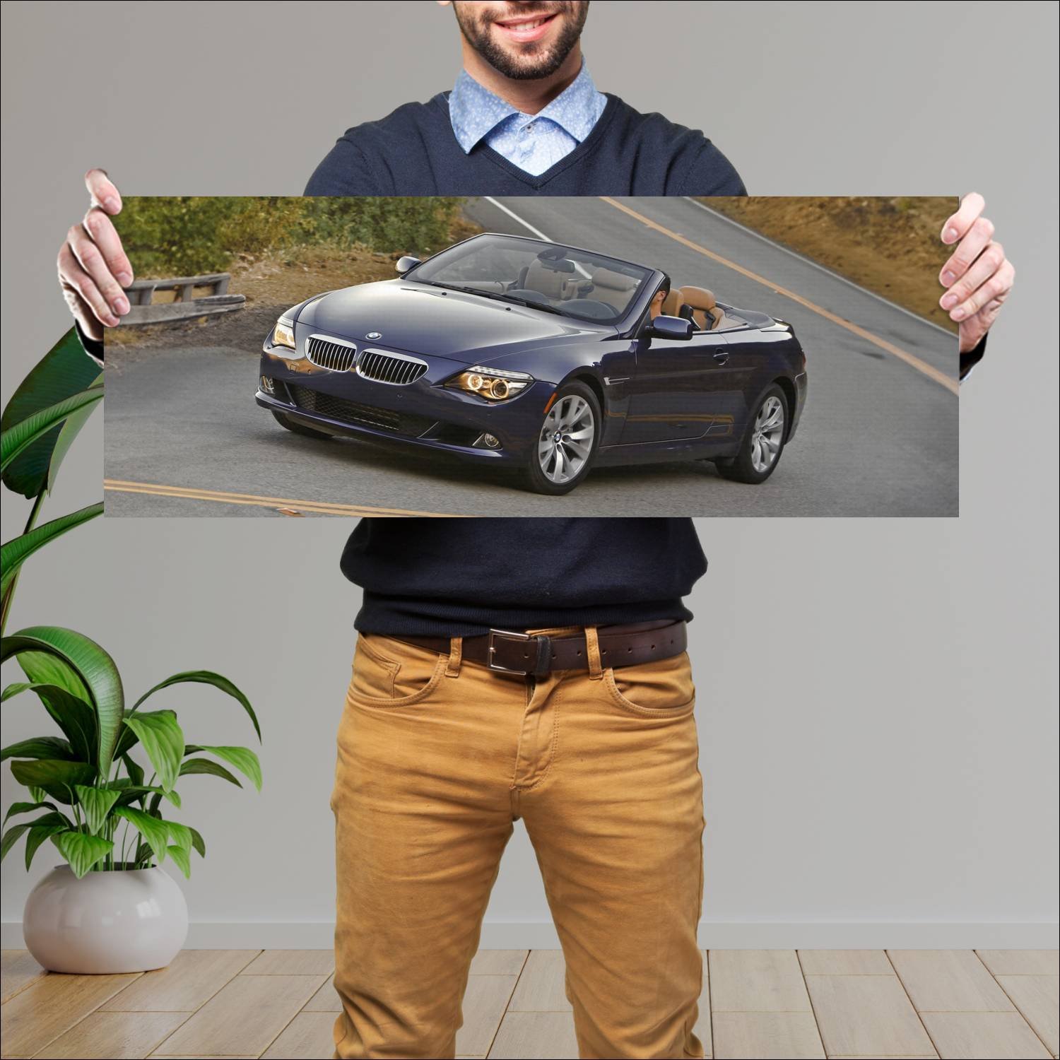 Cuadro grande 30x80cm 2008 bmw 6 series convertibl 594 Bmw
