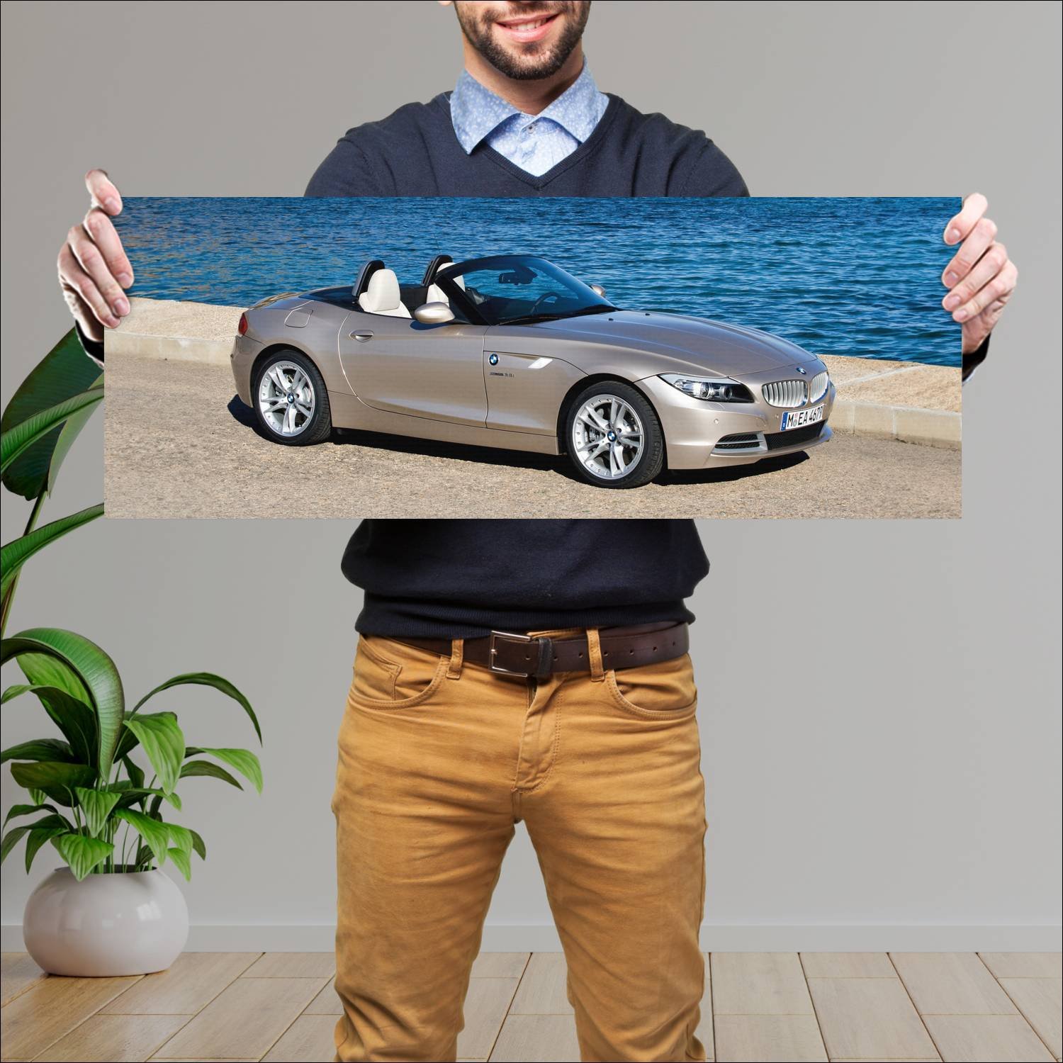 Cuadro grande 30x80cm 2009 bmw z4 auto 700 Bmw