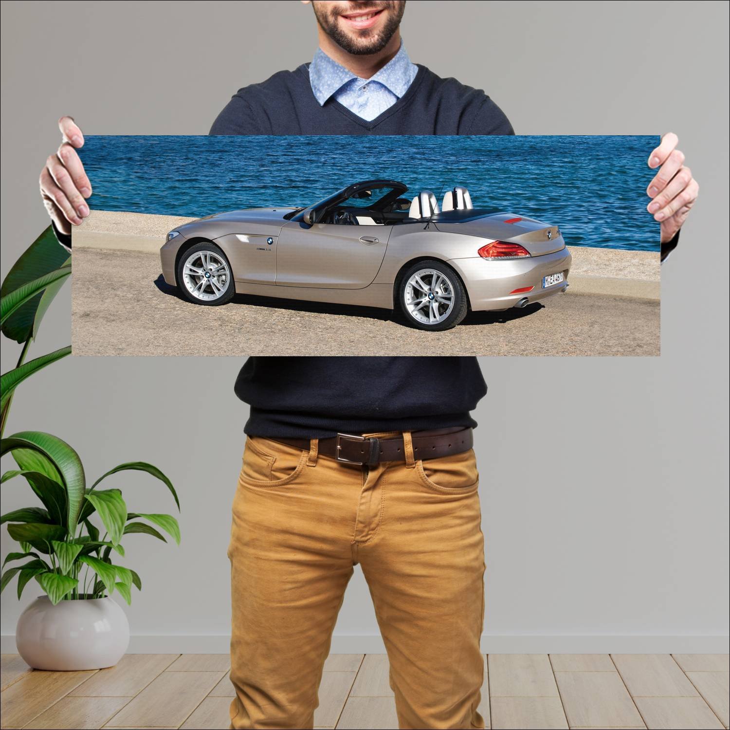 Cuadro grande 30x80cm 2009 bmw z4 auto 701 Bmw