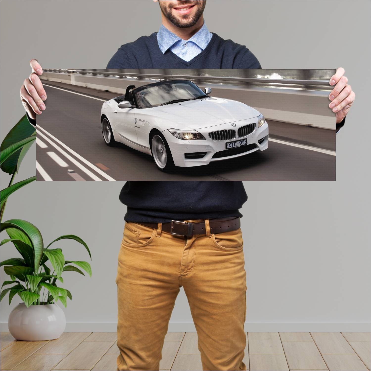 Cuadro grande 30x80cm 2009 bmw z4 m sport au auto 704 Bmw