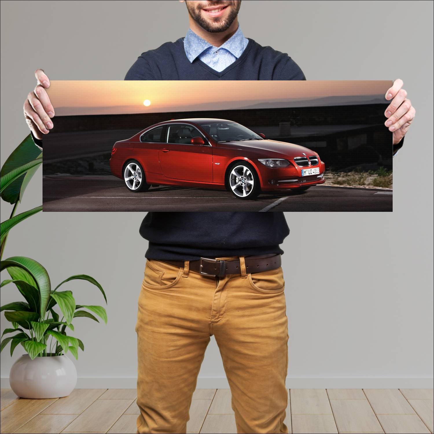 Cuadro grande 30x80cm 2010 bmw 3 series coupe Bmw