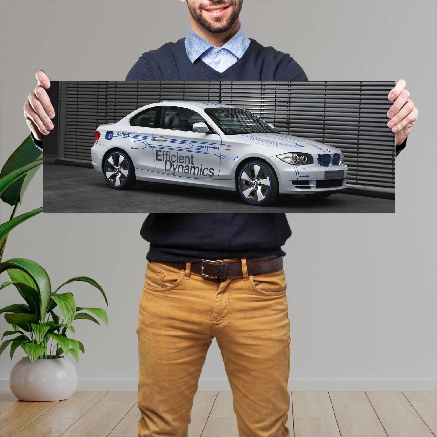Cuadro grande 30x80cm 2010 bmw concept active e 22 751 Bmw