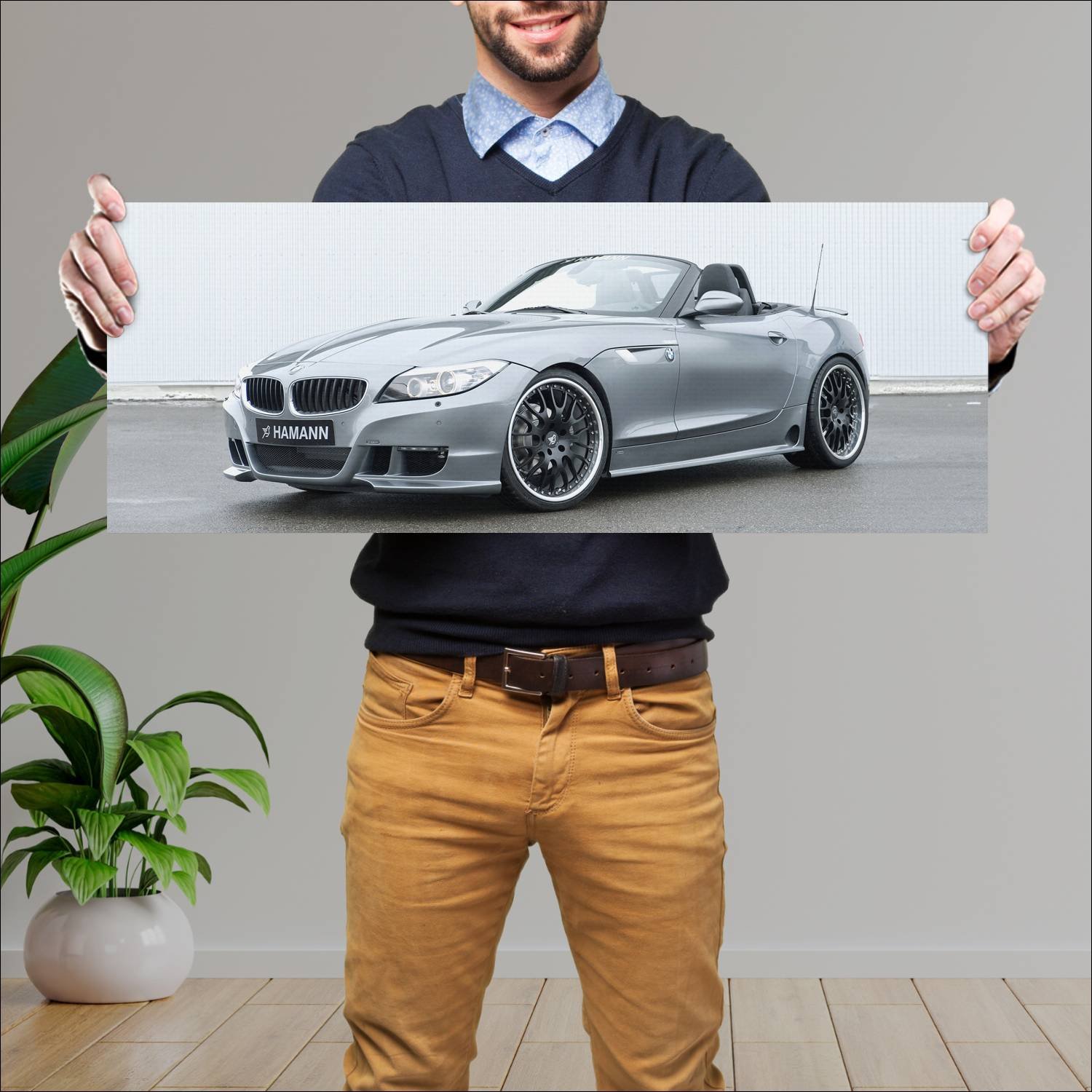 Cuadro grande 30x80cm 2010 bmw z4 by hamann auto 781 Bmw