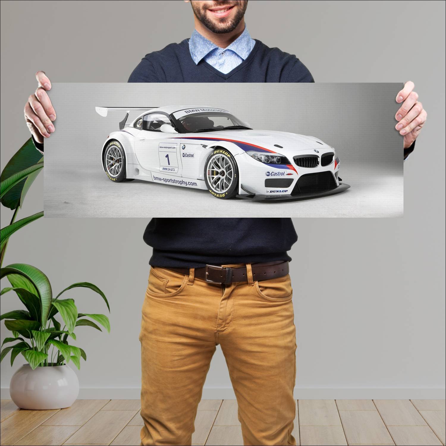 Cuadro grande 30x80cm 2010 bmw z4 gt3 auto 783 Bmw