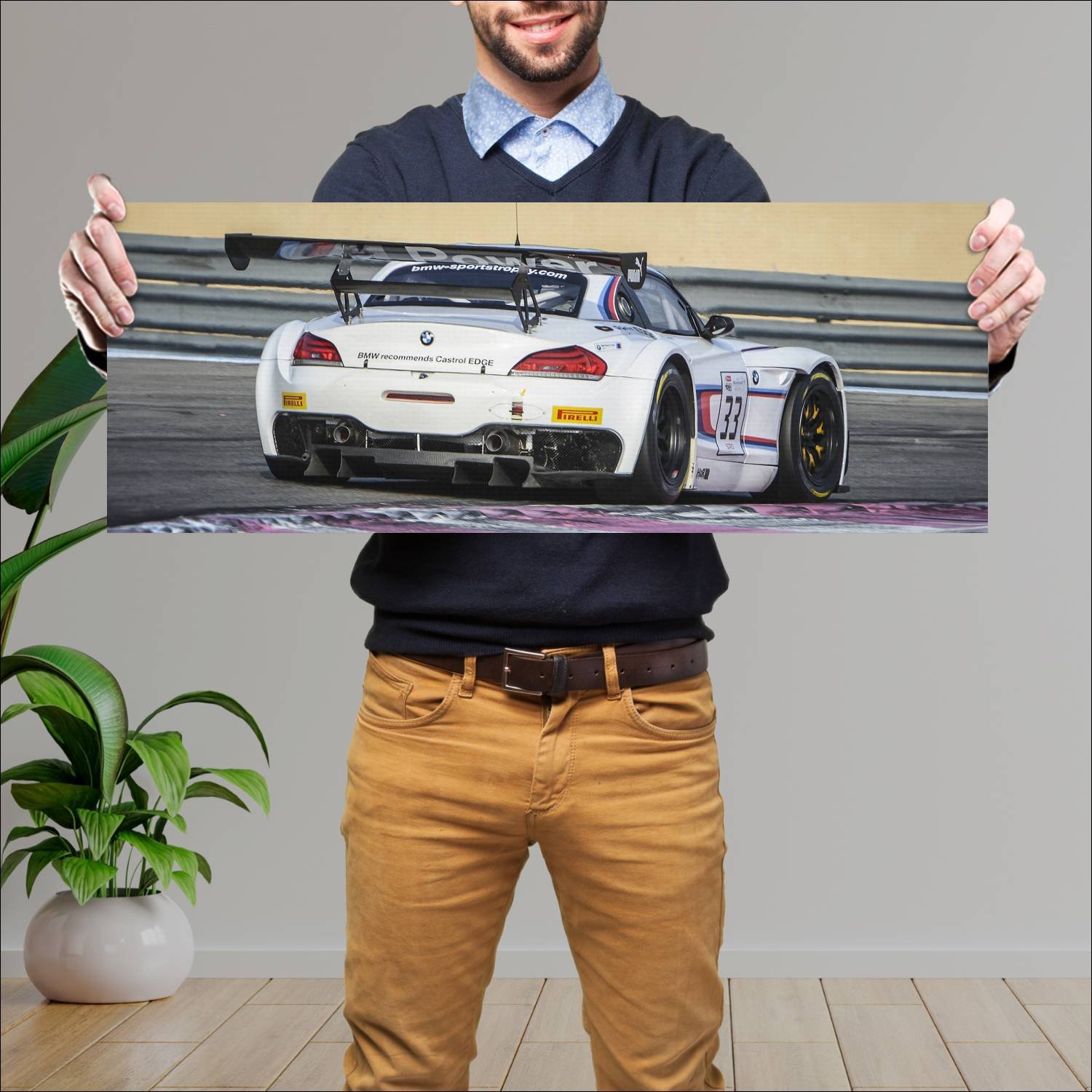 Cuadro grande 30x80cm 2010 bmw z4 gt3 auto 784 Bmw