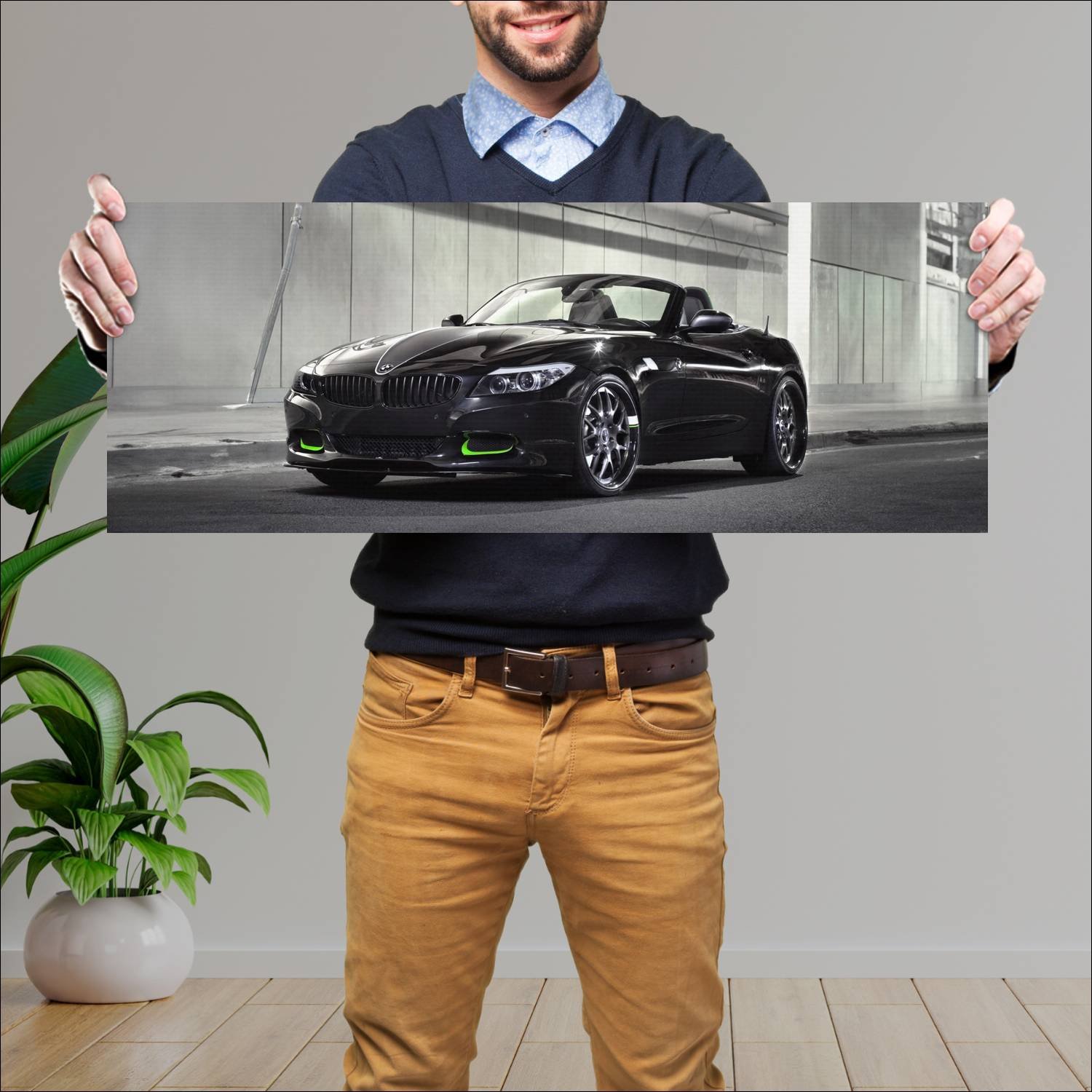 Cuadro grande 30x80cm 2010 bmw z4 slingshot by mw 786 Bmw