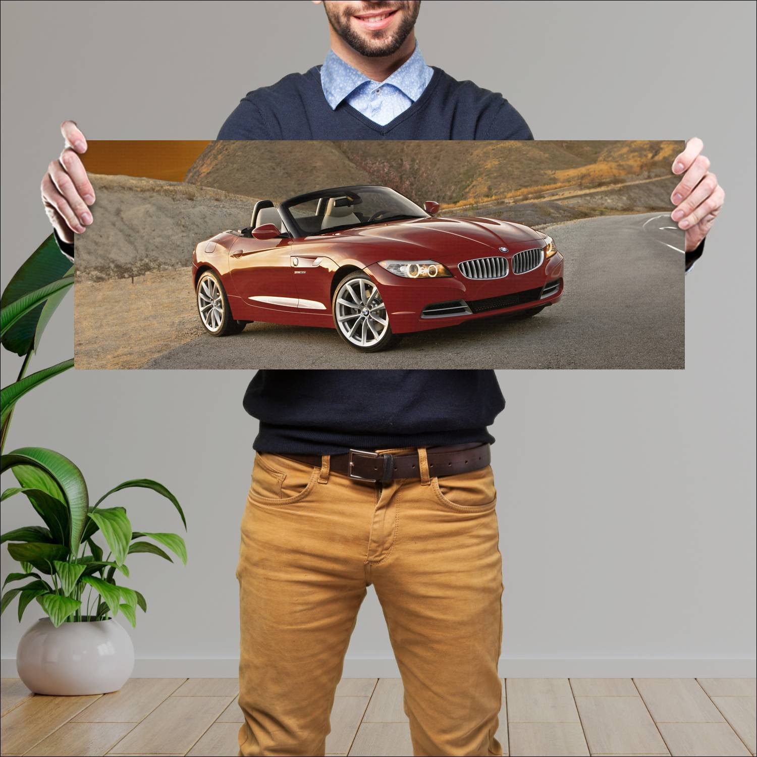 Cuadro grande 30x80cm 2010 bmw z4 us auto 787 Bmw