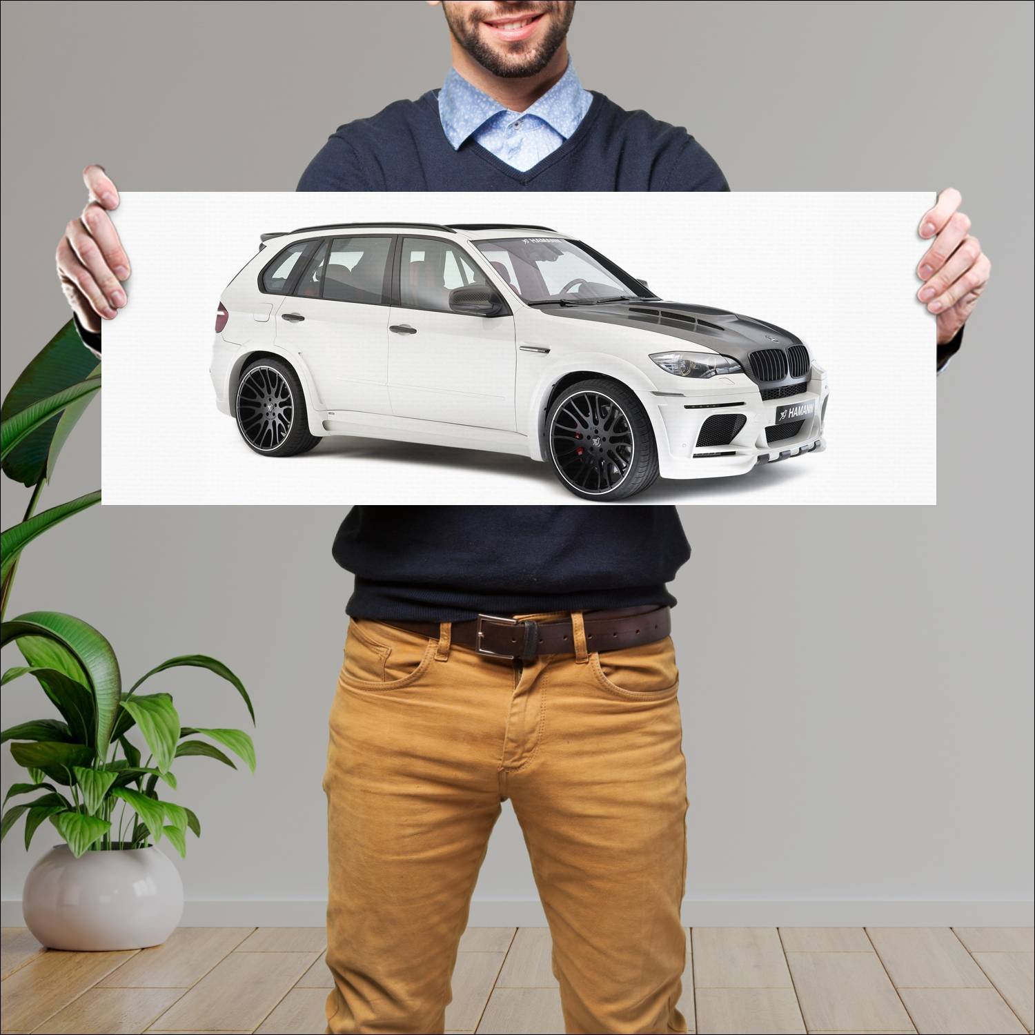 Cuadro grande 30x80cm 2010 hamann flash evo m Bmw