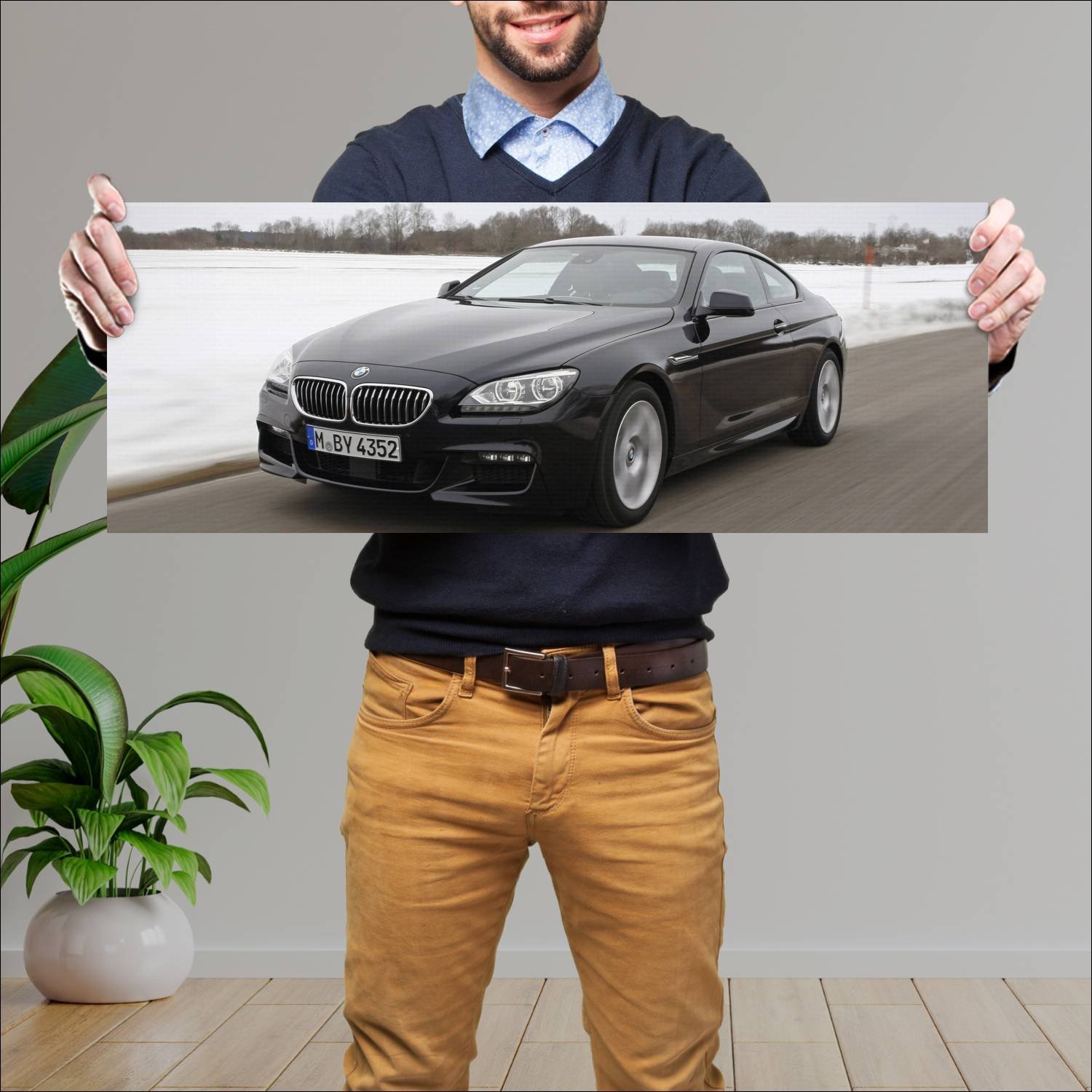 Cuadro grande 30x80cm 2011 bmw 6 series coupe m sp 859 Bmw