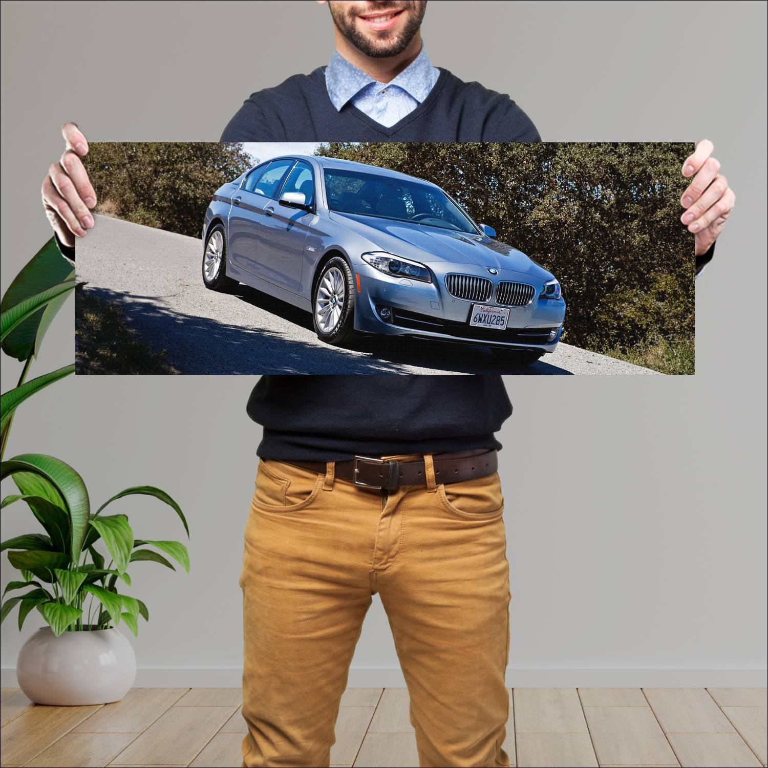 Cuadro grande 30x80cm 2012 bmw activehybrid 5 us 8 962 Bmw