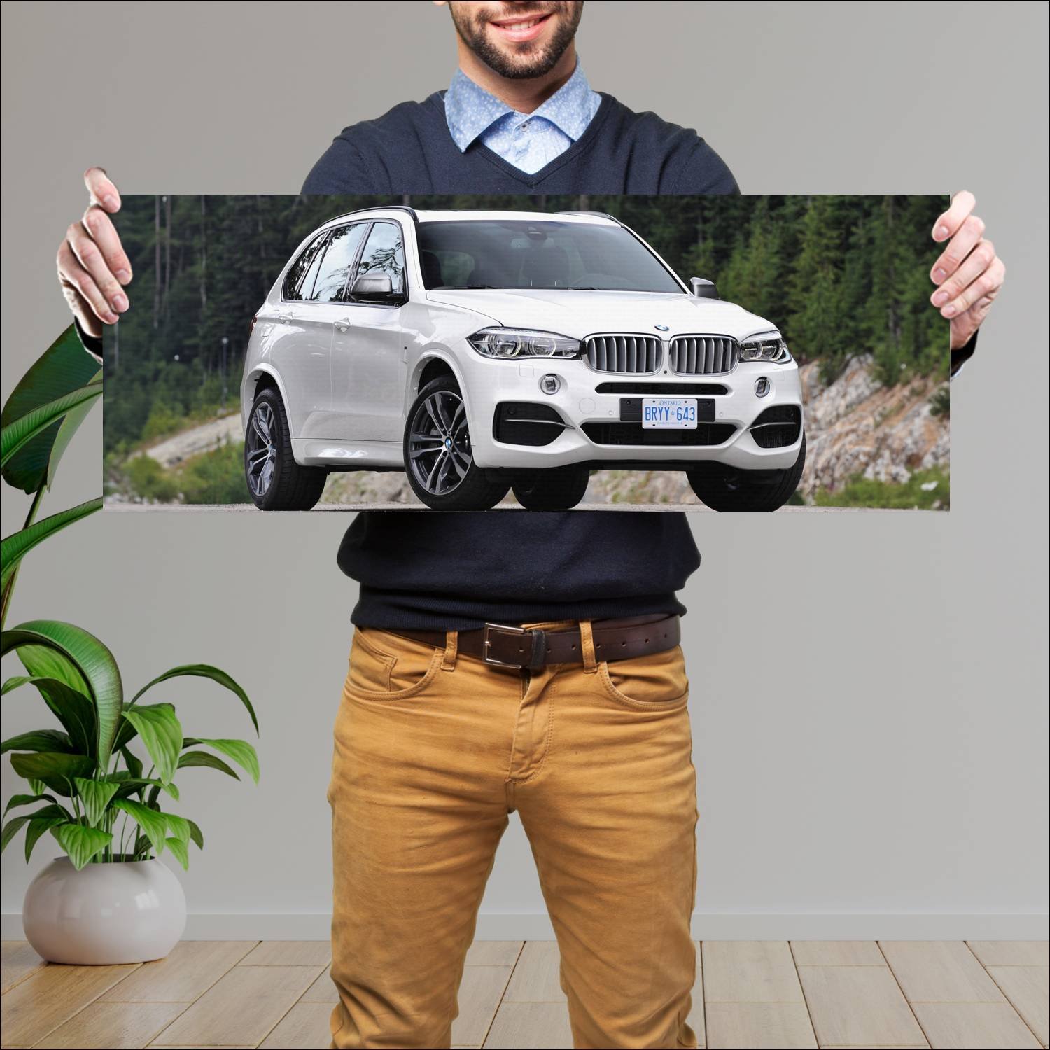 Cuadro grande 30x80cm 2013 bmw x5 m50d auto 106 Bmw