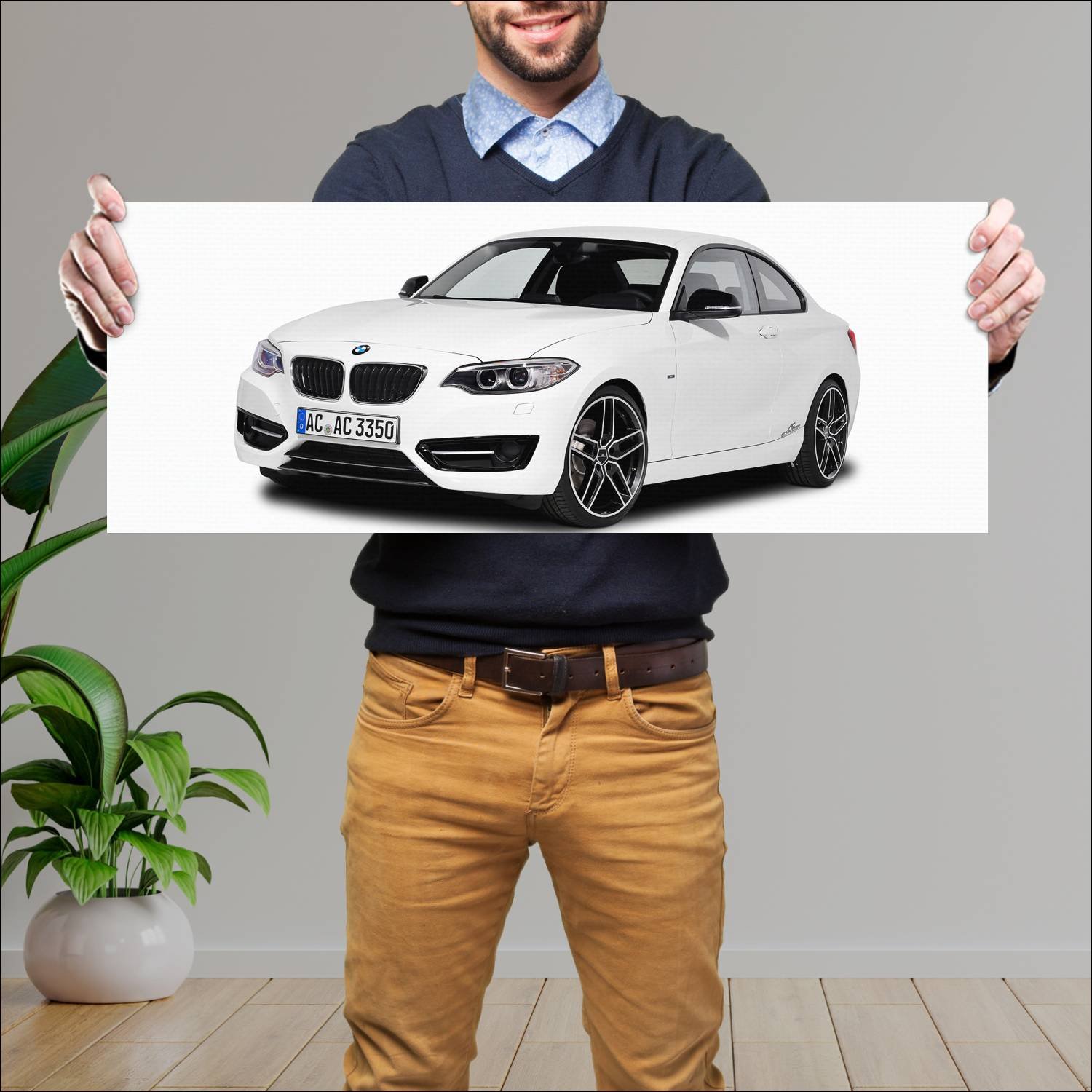 Cuadro grande 30x80cm 2014 bmw 2 series coupe by a 134 Bmw