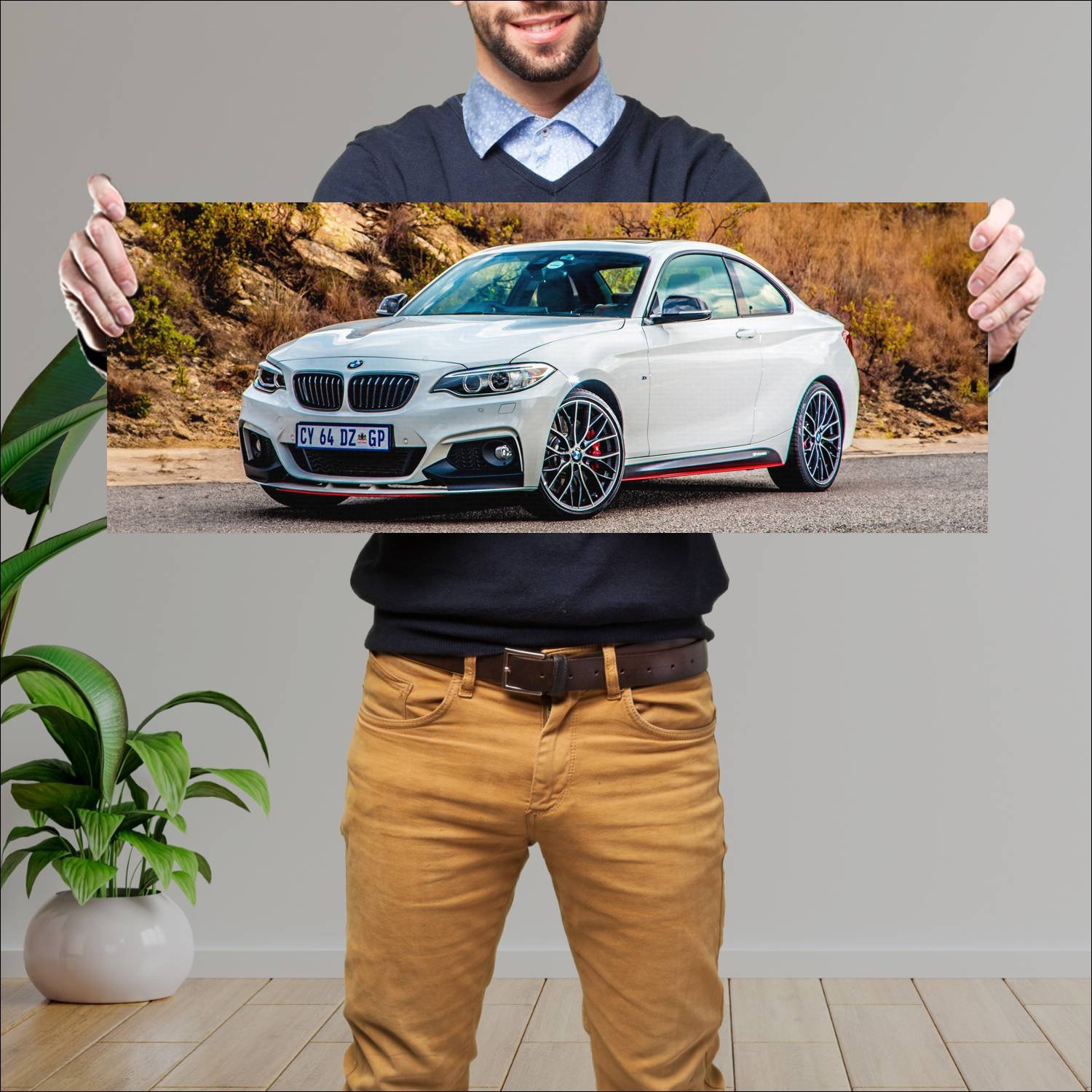 Cuadro grande 30x80cm 2014 bmw 2 series coupe with 138 Bmw