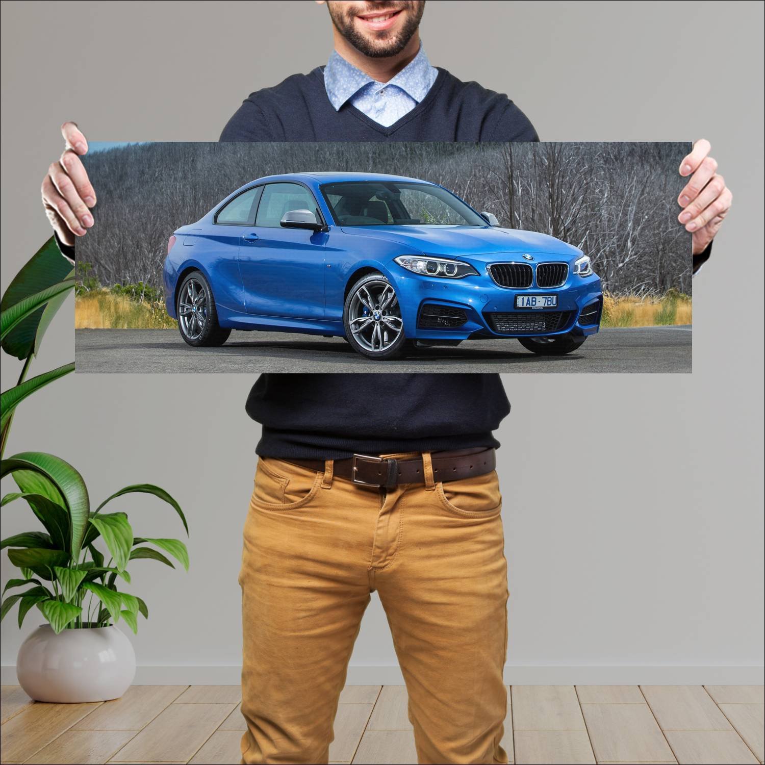 Cuadro grande 30x80cm 2014 bmw m235i coupe au Bmw