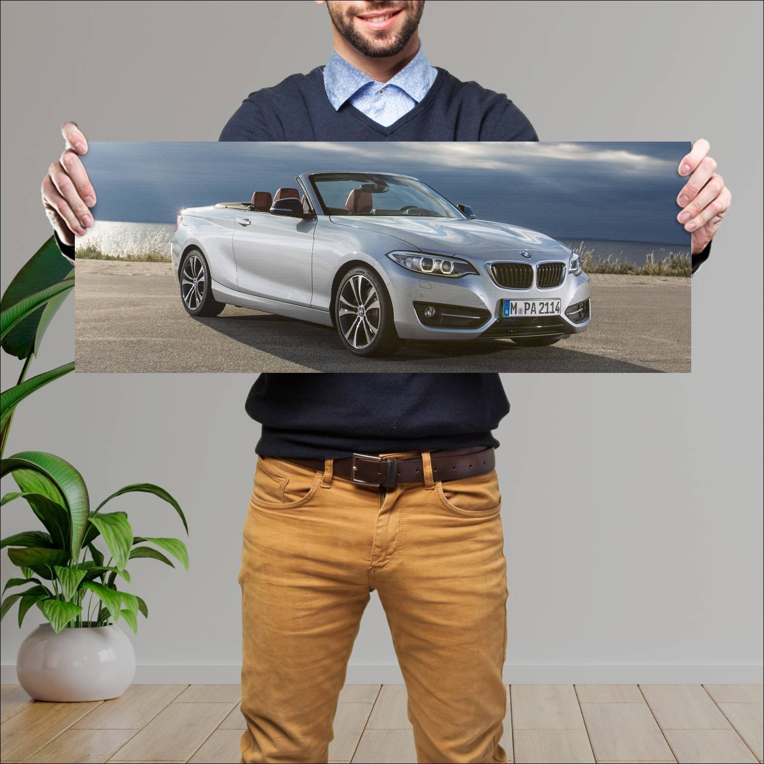 Cuadro grande 30x80cm 2015 bmw 2 series convertibl 248 Bmw