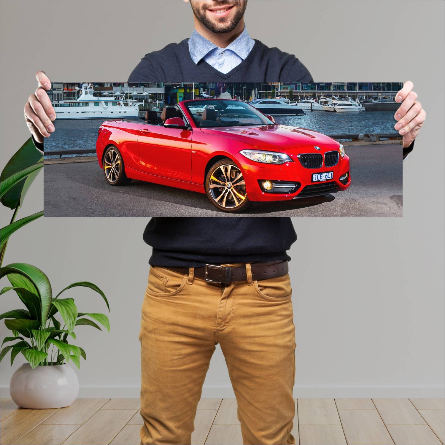 Cuadro grande 30x80cm 2015 bmw 2 series convertibl 250 Bmw