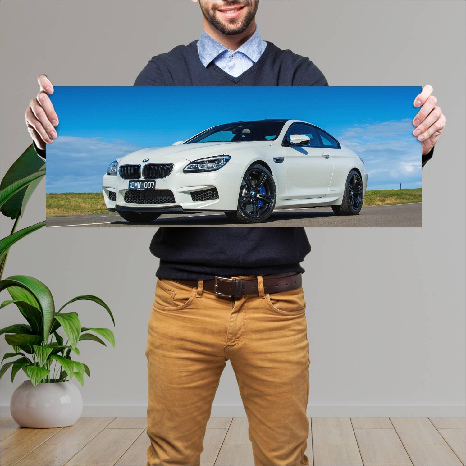 Cuadro grande 30x80cm 2015 bmw m6 coupe competitio 337 Bmw