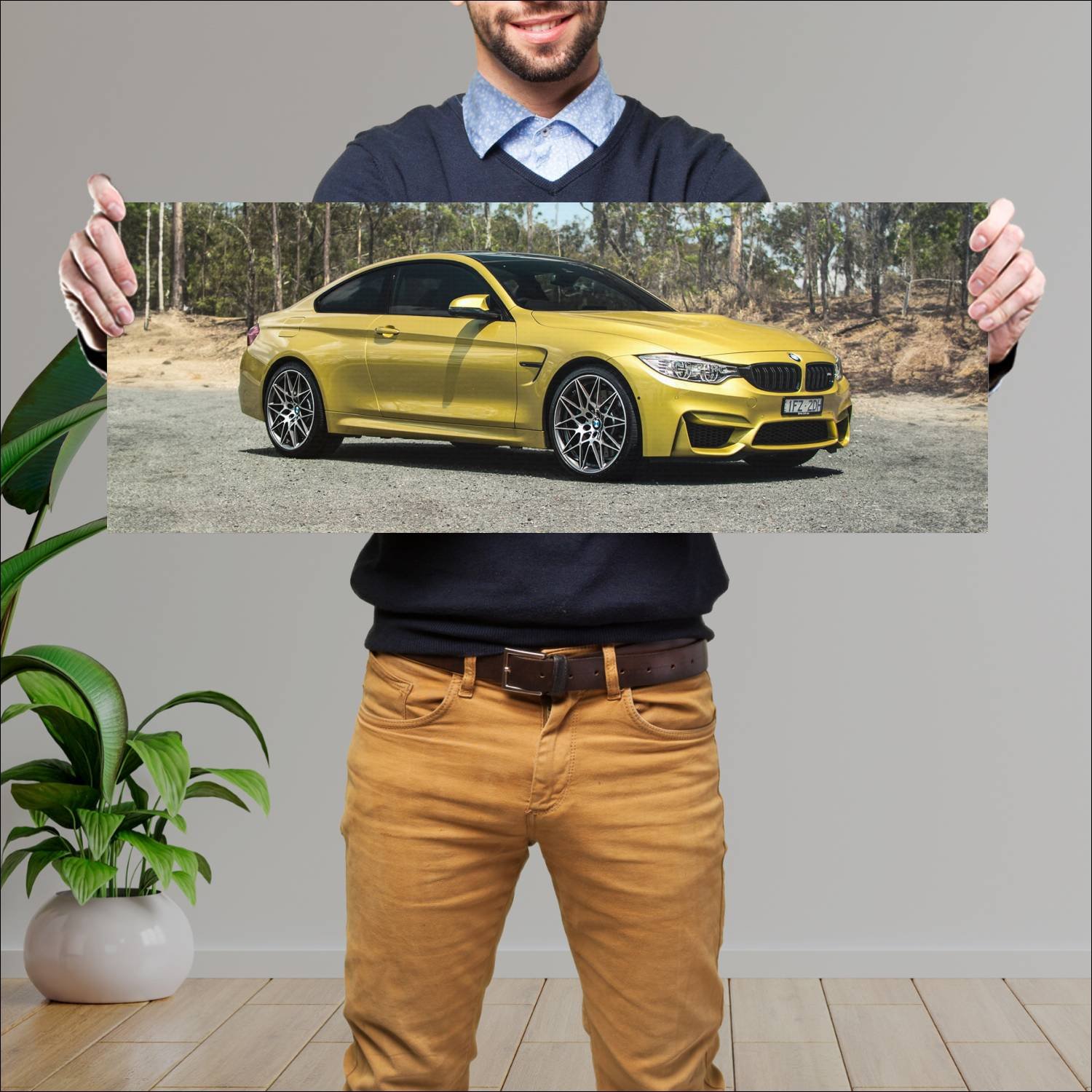 Cuadro grande 30x80cm 2016 bmw m4 coupe competitio 437 Bmw
