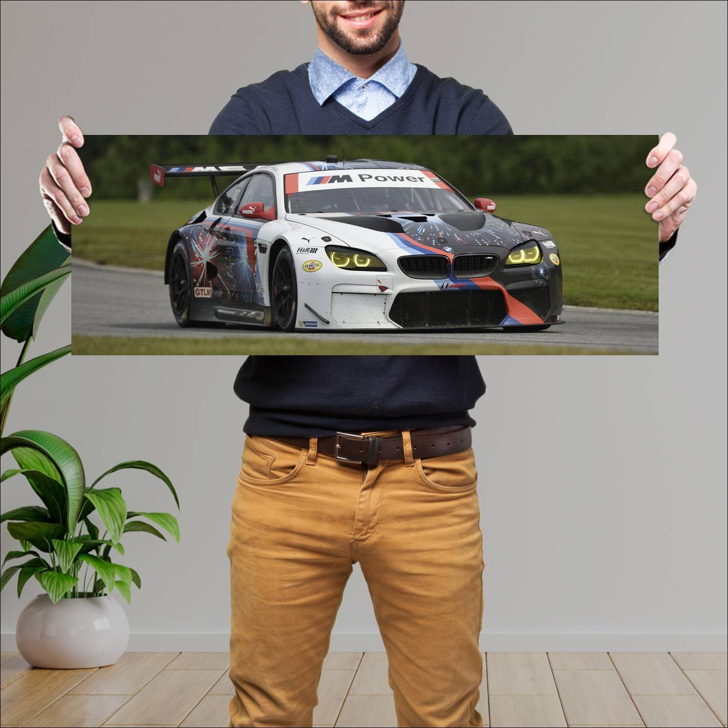 Cuadro grande 30x80cm 2016 bmw m6 gtlm auto 456 Bmw