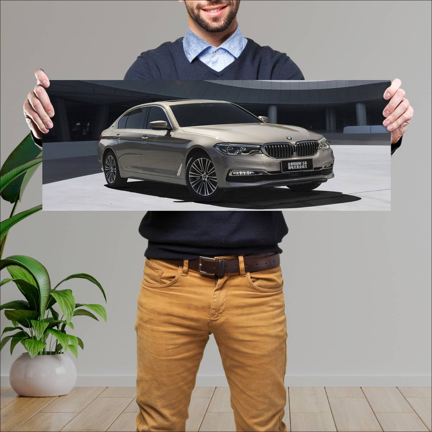 Cuadro grande 30x80cm 2017 bmw 5 series plug in hy 521 Bmw