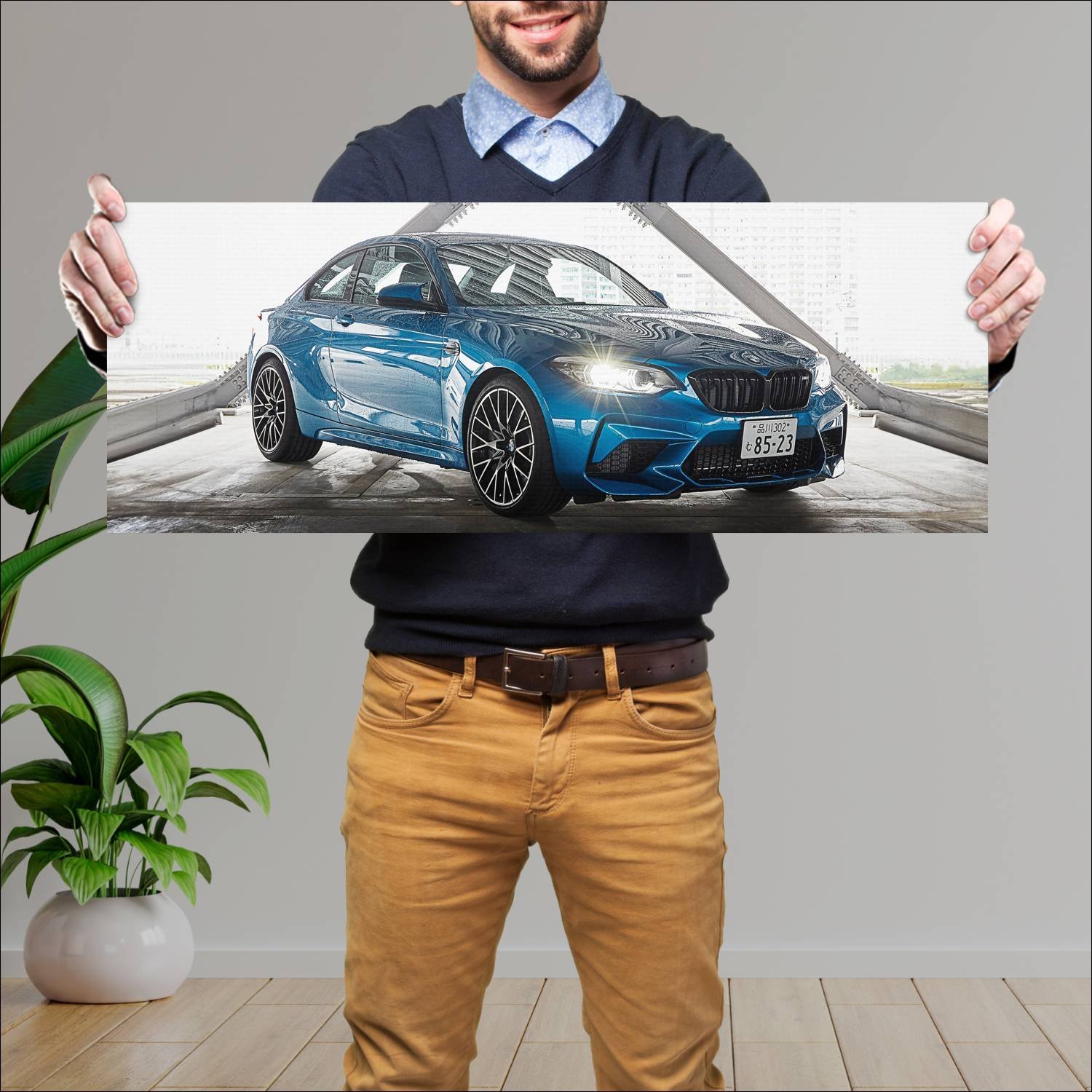 Cuadro grande 30x80cm 2018 bmw m2 coupe competitio 633 Bmw